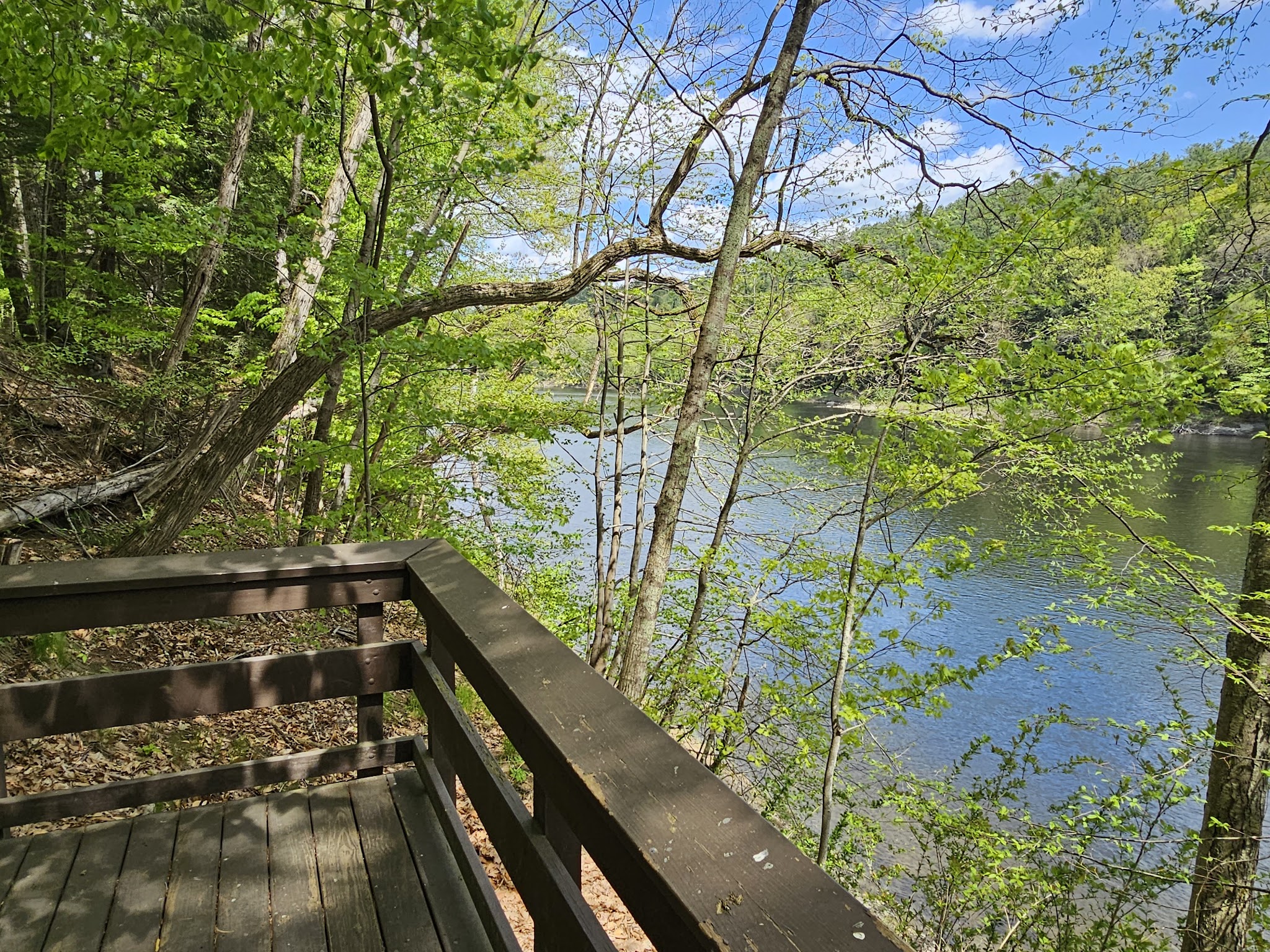 Wilgus State Park - Springfield, VT