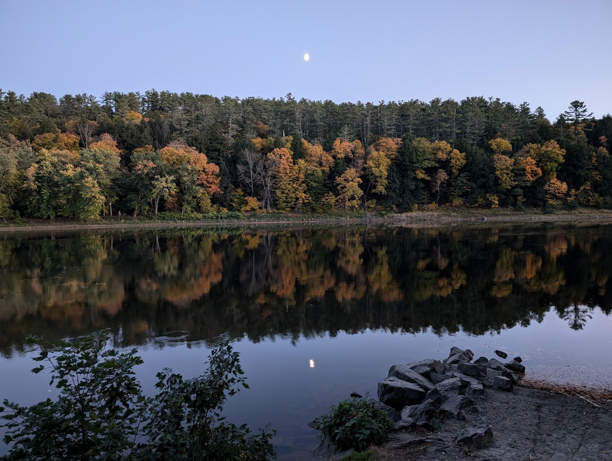 Wilgus State Park - Springfield, VT