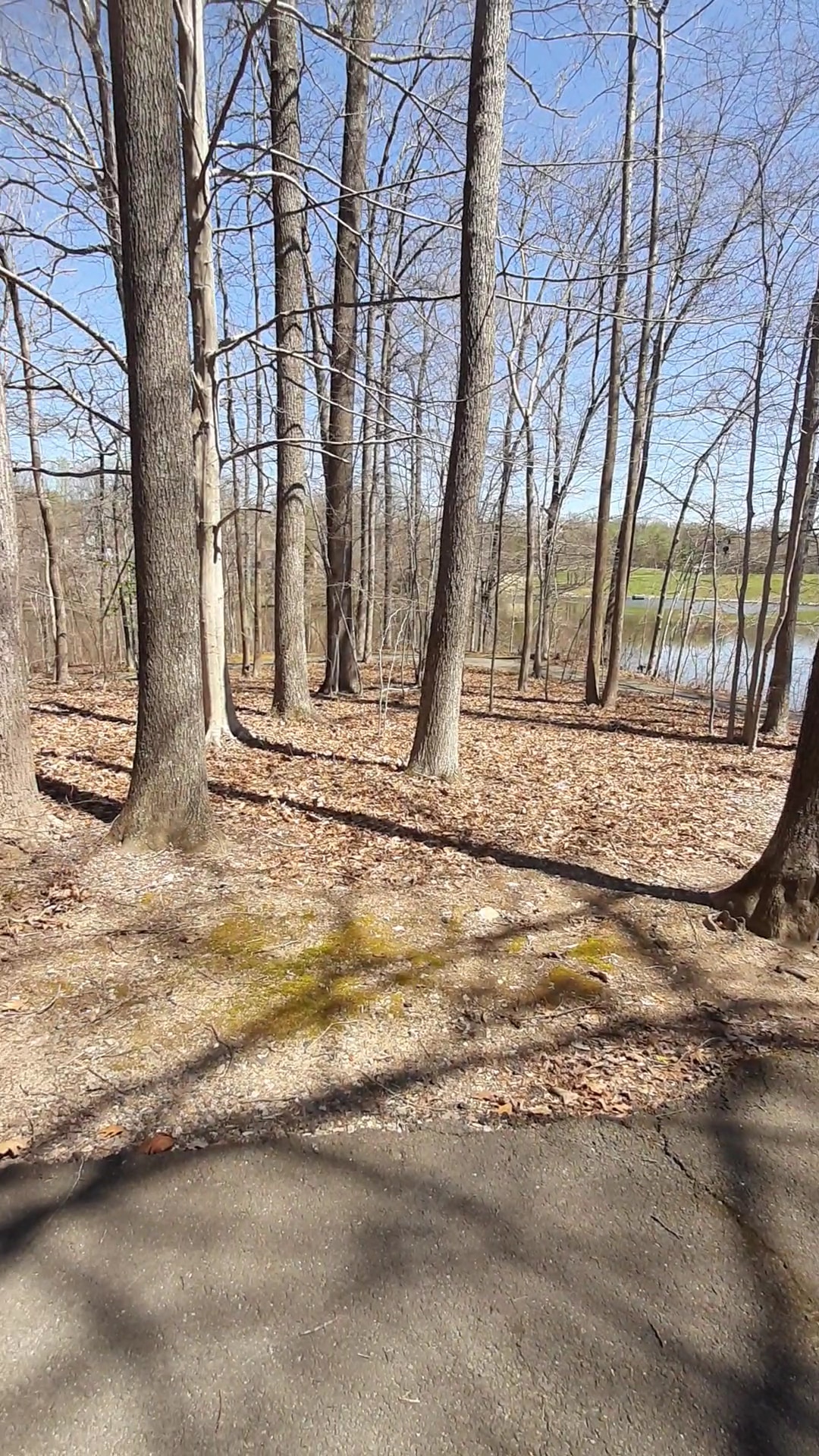 Huntsman Park - Springfield, VA