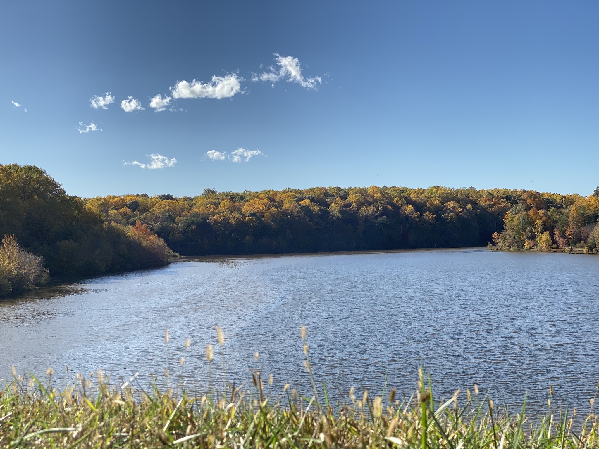 Huntsman Park - Springfield, VA