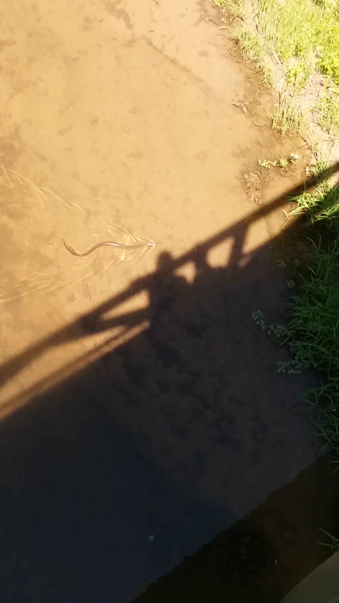 Springtown Park - Springtown, TX