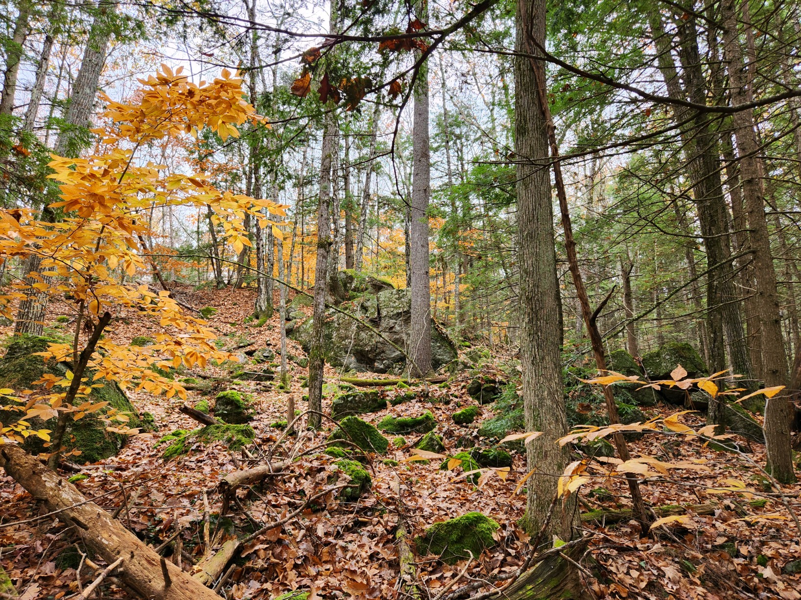 Mousam Way Trails Springvale Maine - Springvale, ME