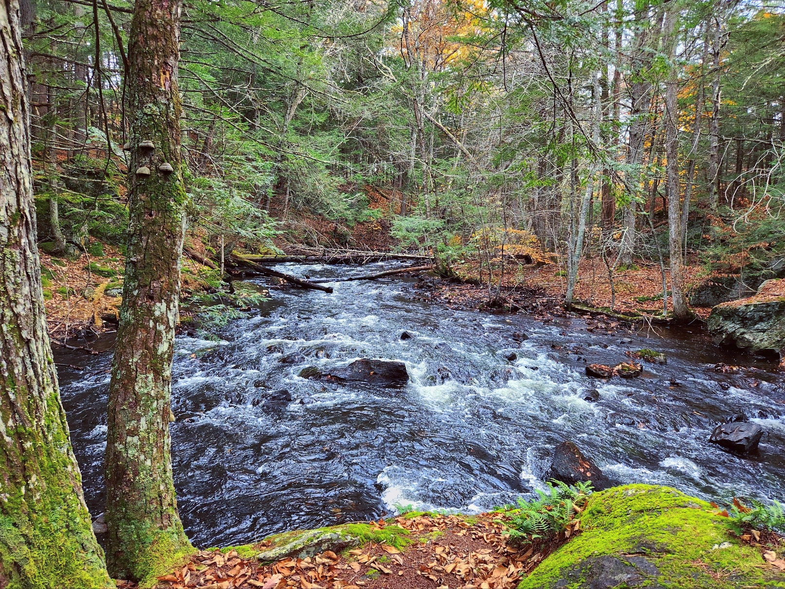 Mousam Way Trails Springvale Maine - Springvale, ME
