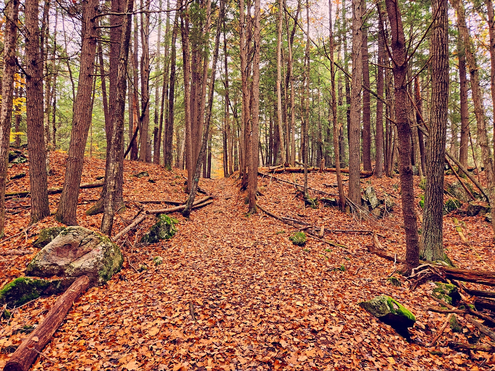 Mousam Way Trails Springvale Maine - Springvale, ME