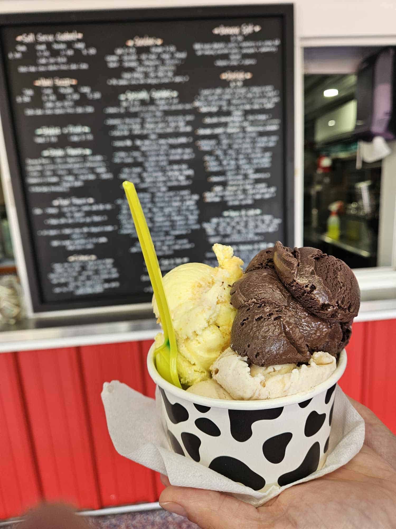 Springville Dairy - Springville, NY