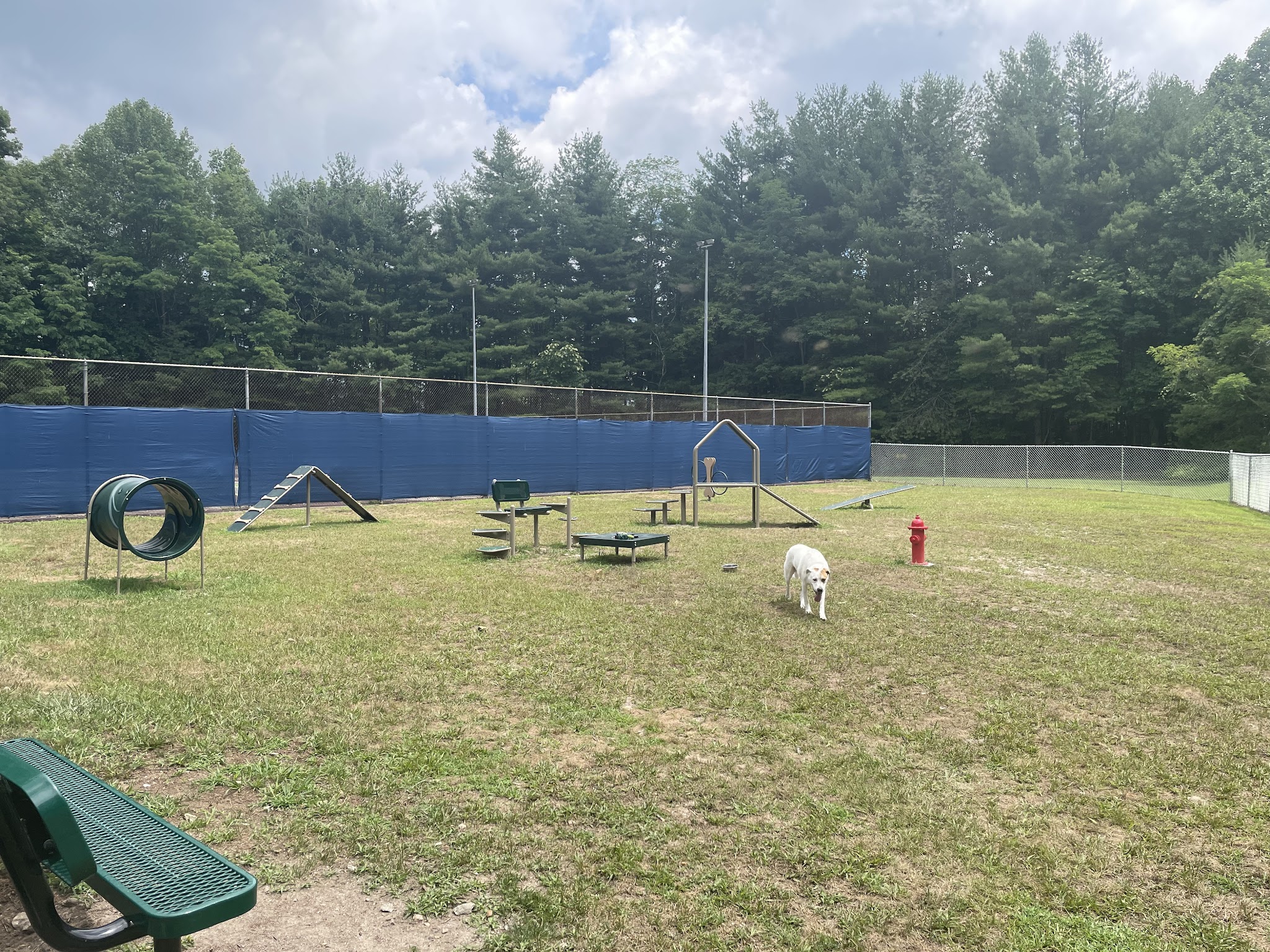 Spruce Pine Dog Park - Spruce Pine, NC