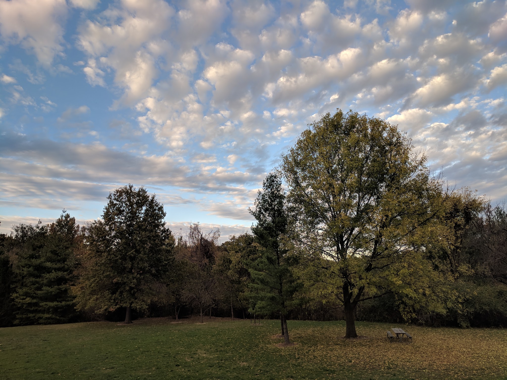 James McDonnell County Park - St Ann, MO
