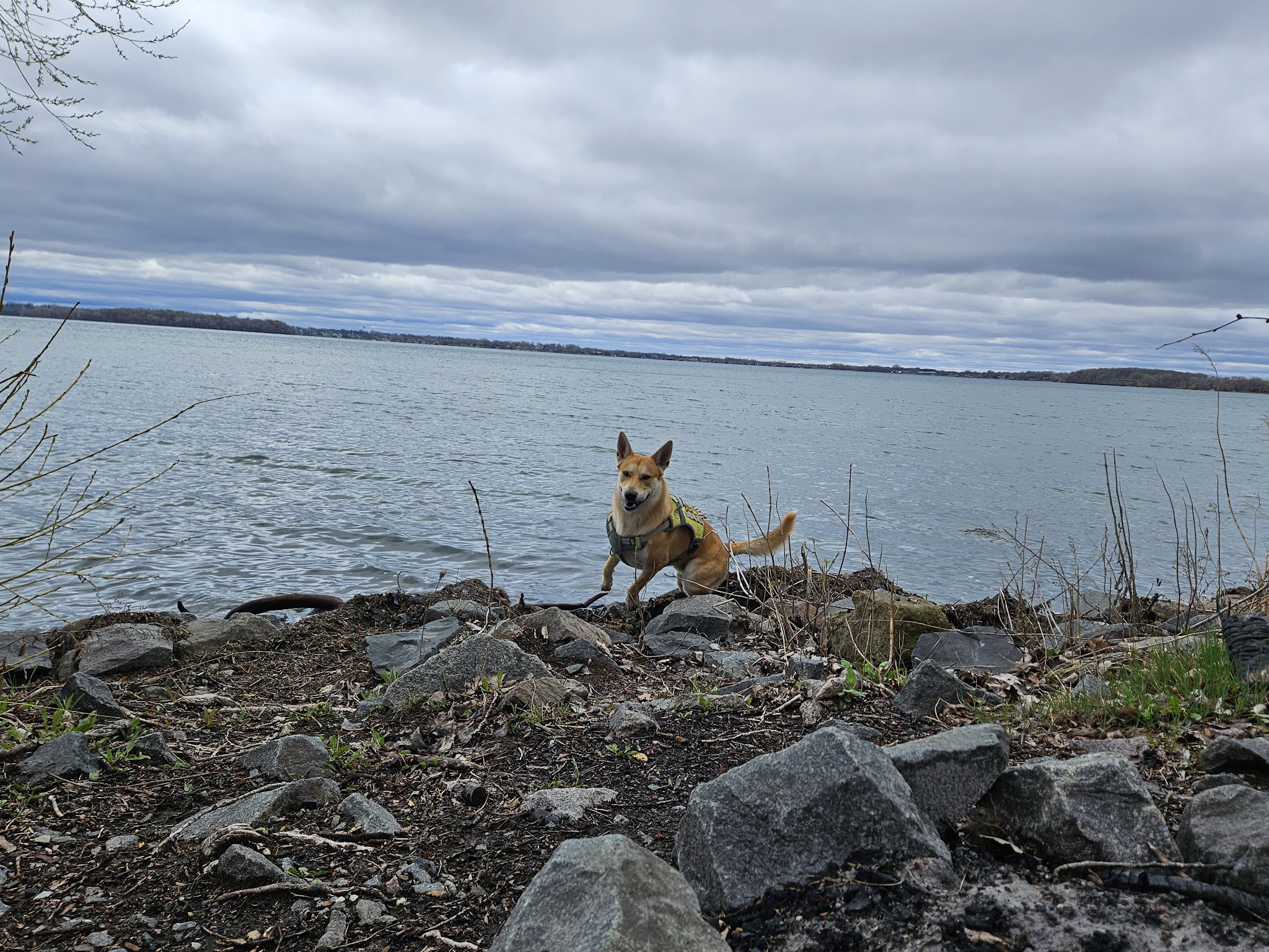 Dakota Rail Trail Parking - St. Bonifacius - St Bonifacius, MN