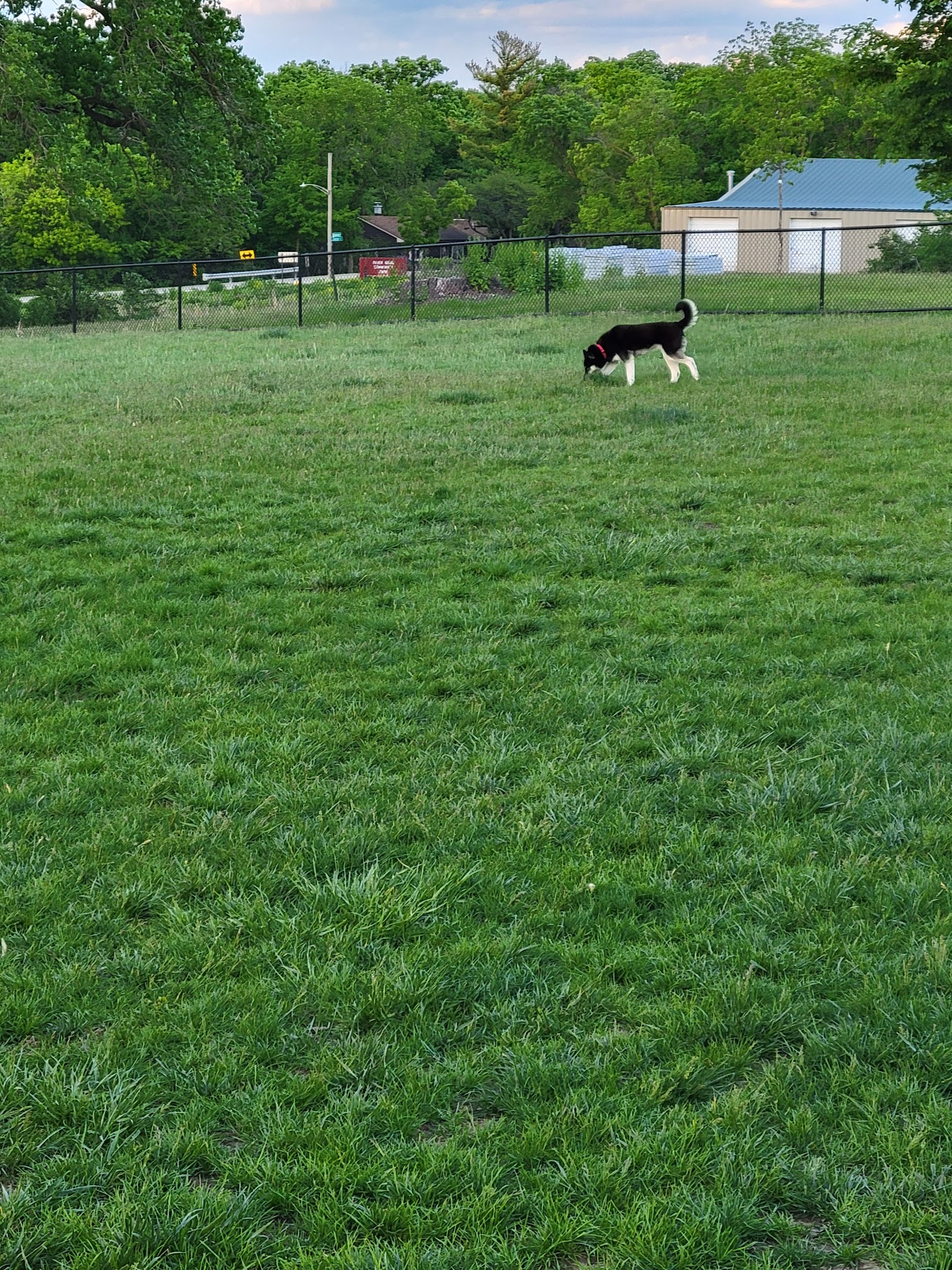 Dog Park - St. Charles, IL