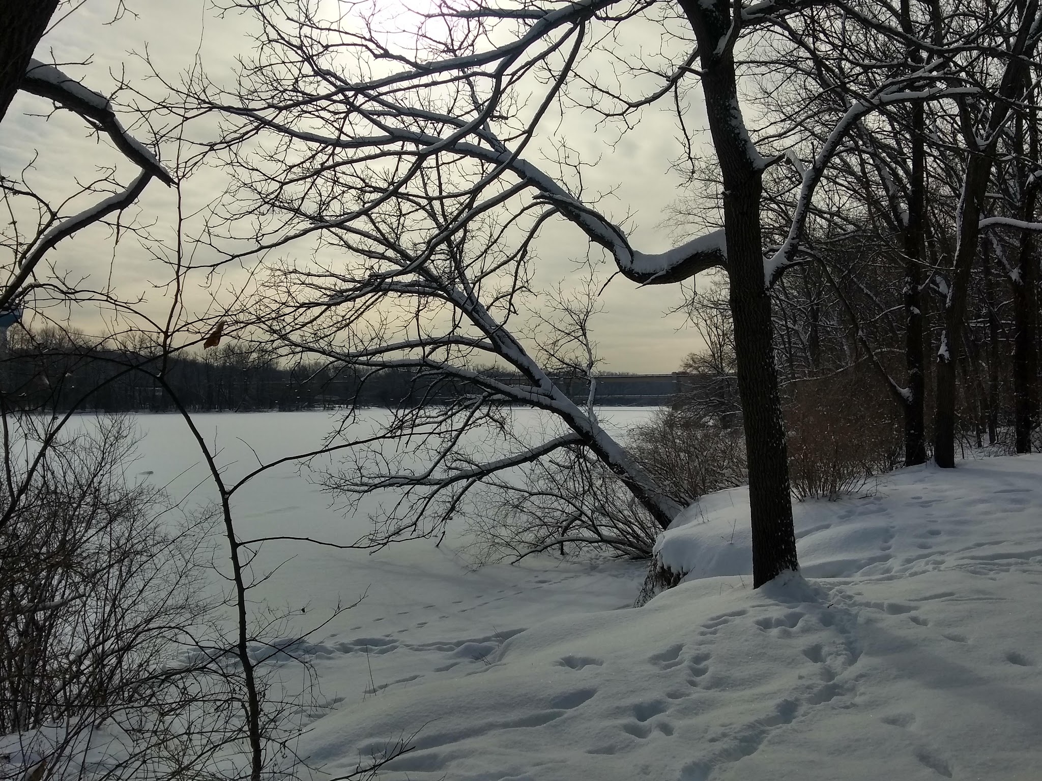 Fox River Bluff West Forest Preserve - St. Charles, IL