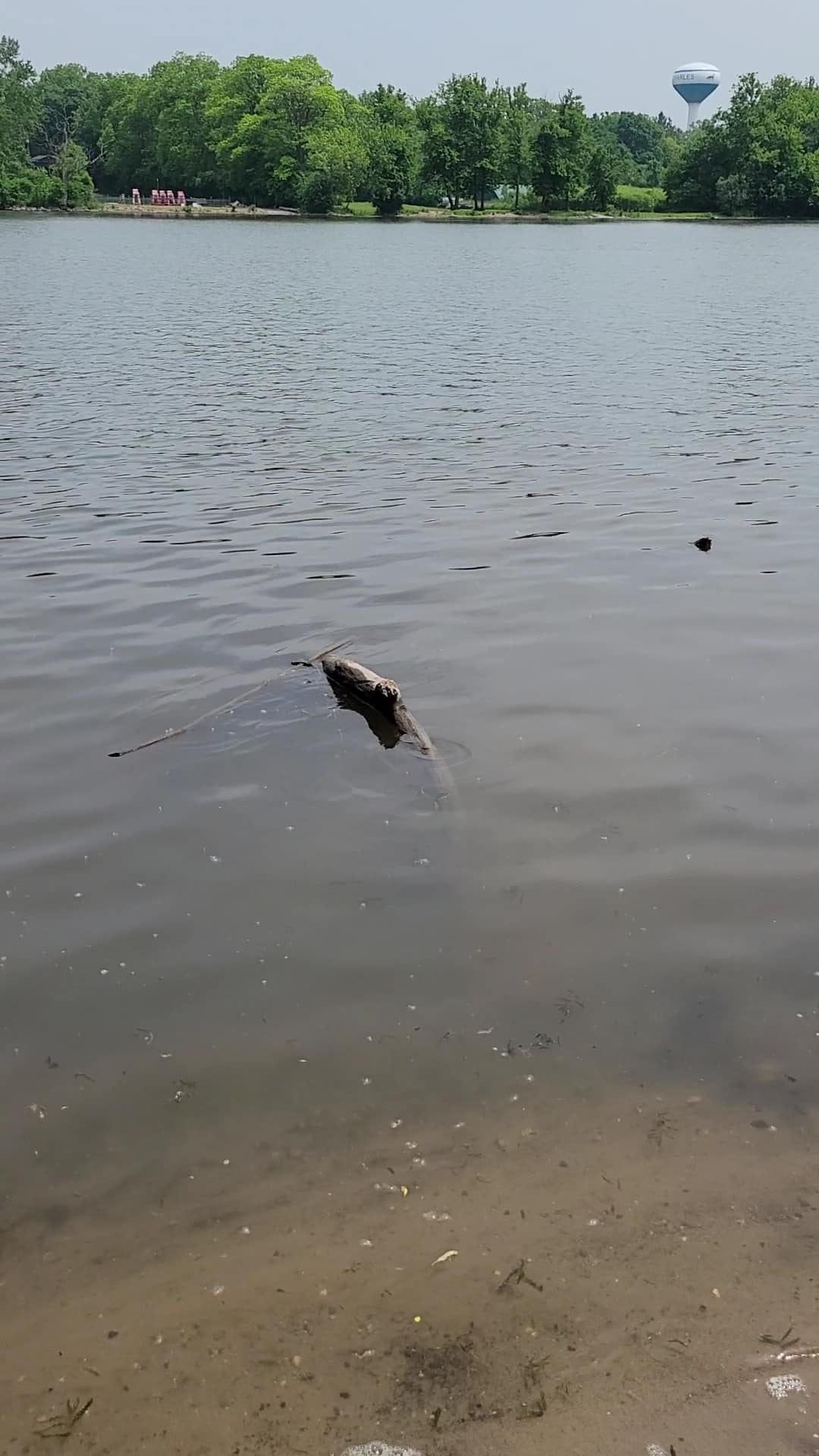 Fox River Bluff West Forest Preserve - St. Charles, IL