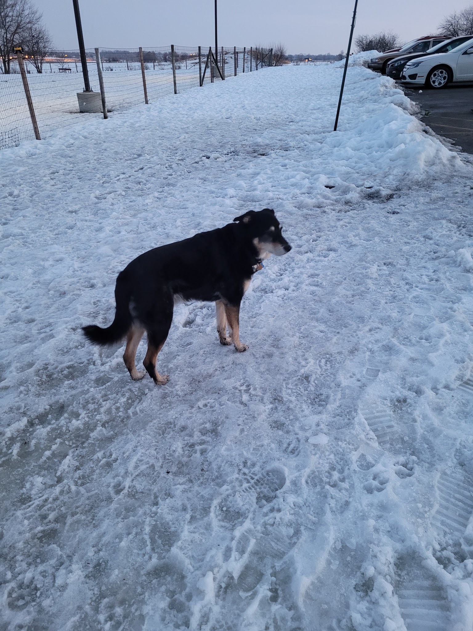 James O. Breen Community Dog Park - St. Charles, IL