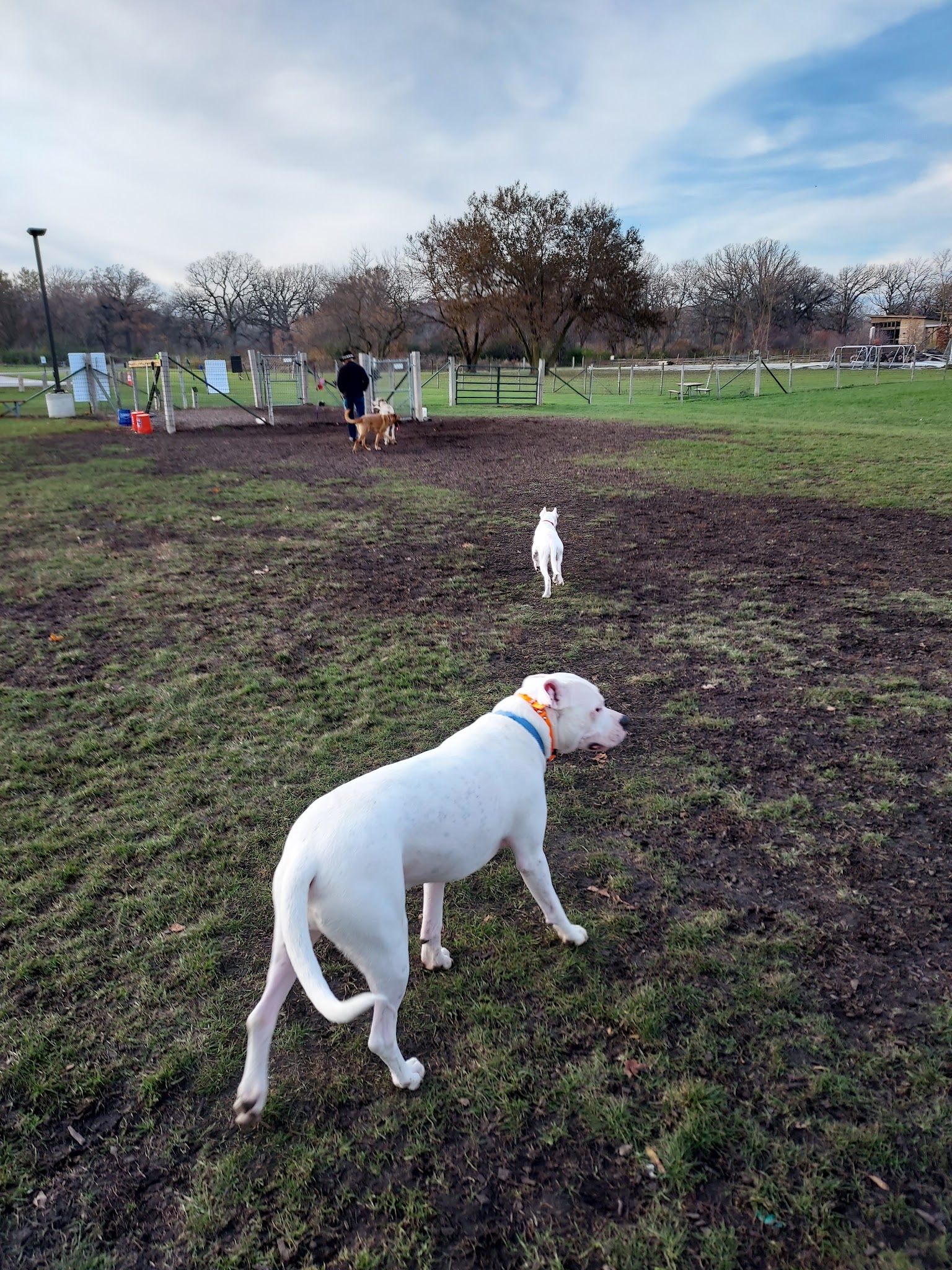 James O. Breen Community Dog Park - St. Charles, IL