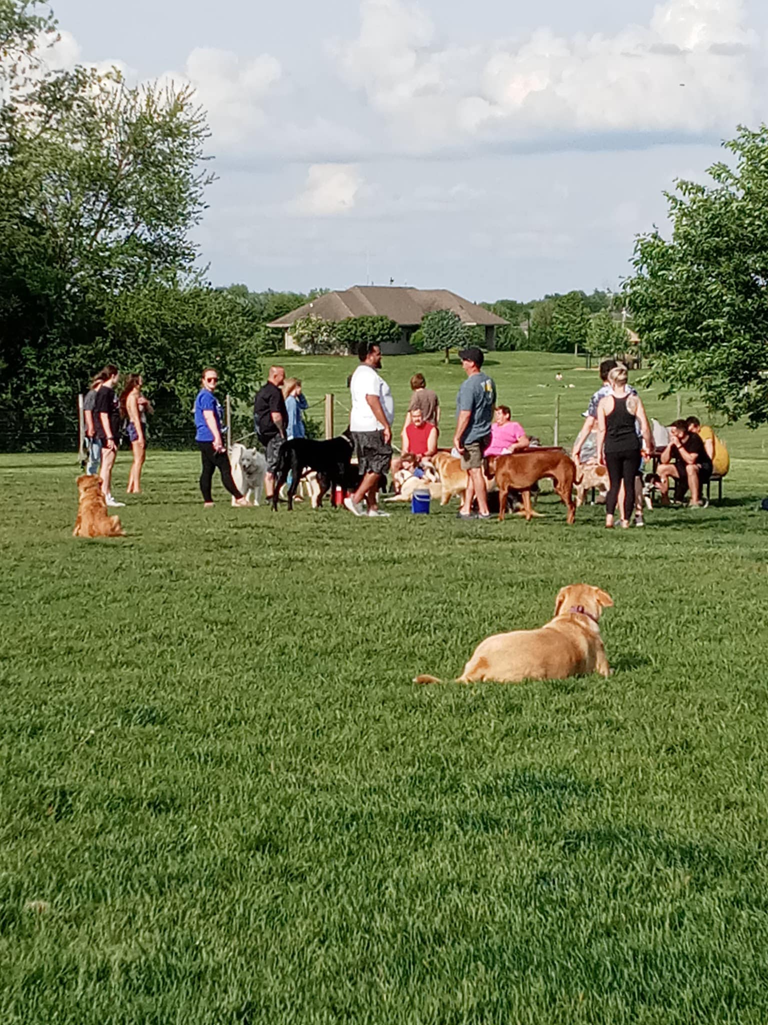 James O. Breen Community Dog Park - St. Charles, IL