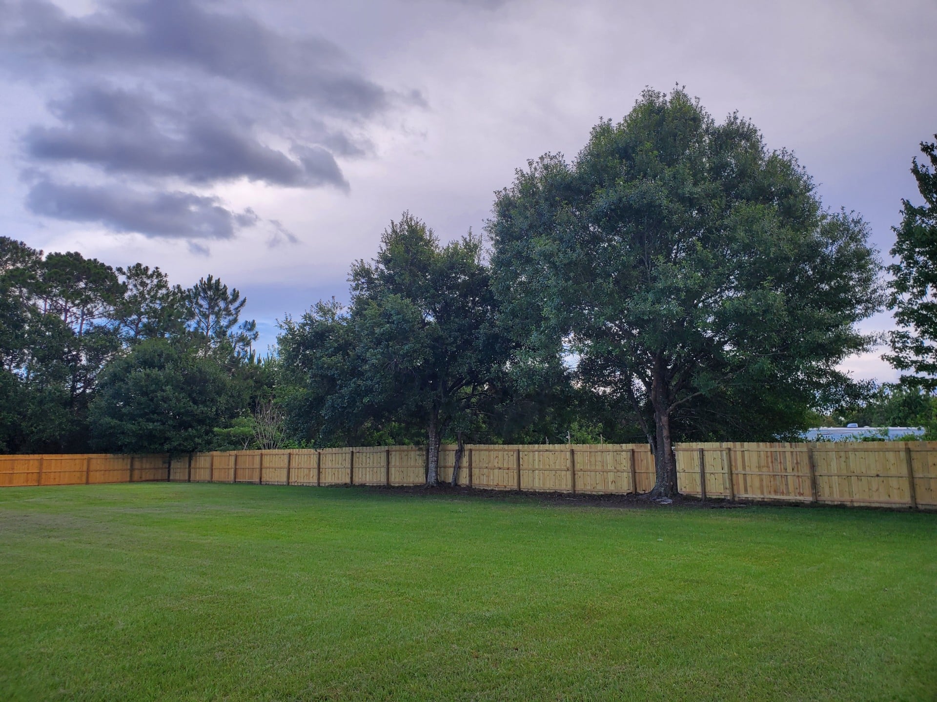 It's A Dog's World - St Cloud, FL