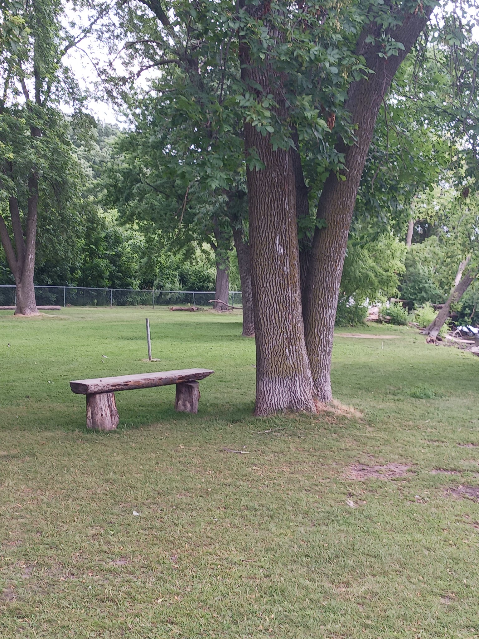 Wilson Park, Dog park - St Cloud, MN