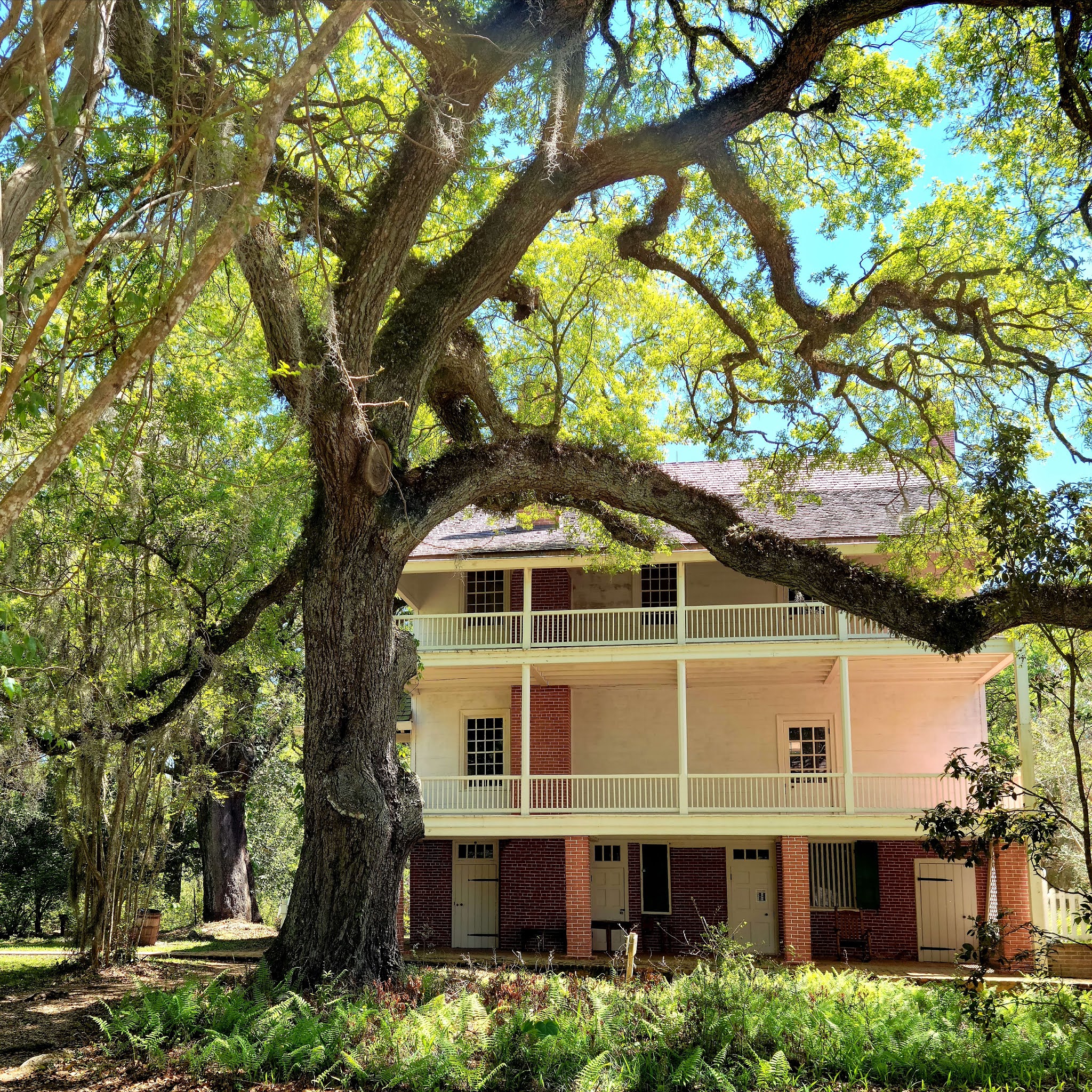 Audubon State Historic Site - St Francisville, LA