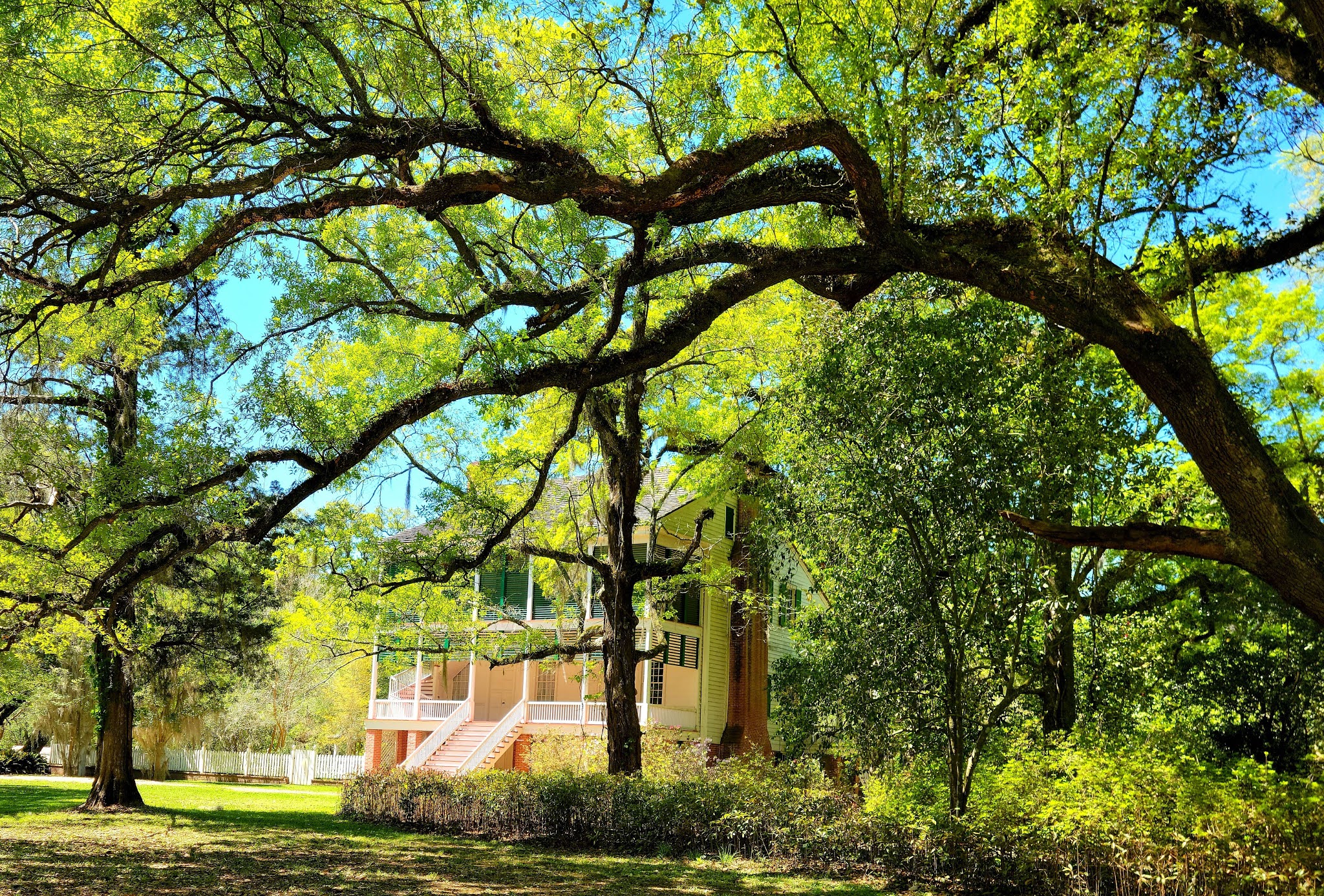 Audubon State Historic Site - St Francisville, LA