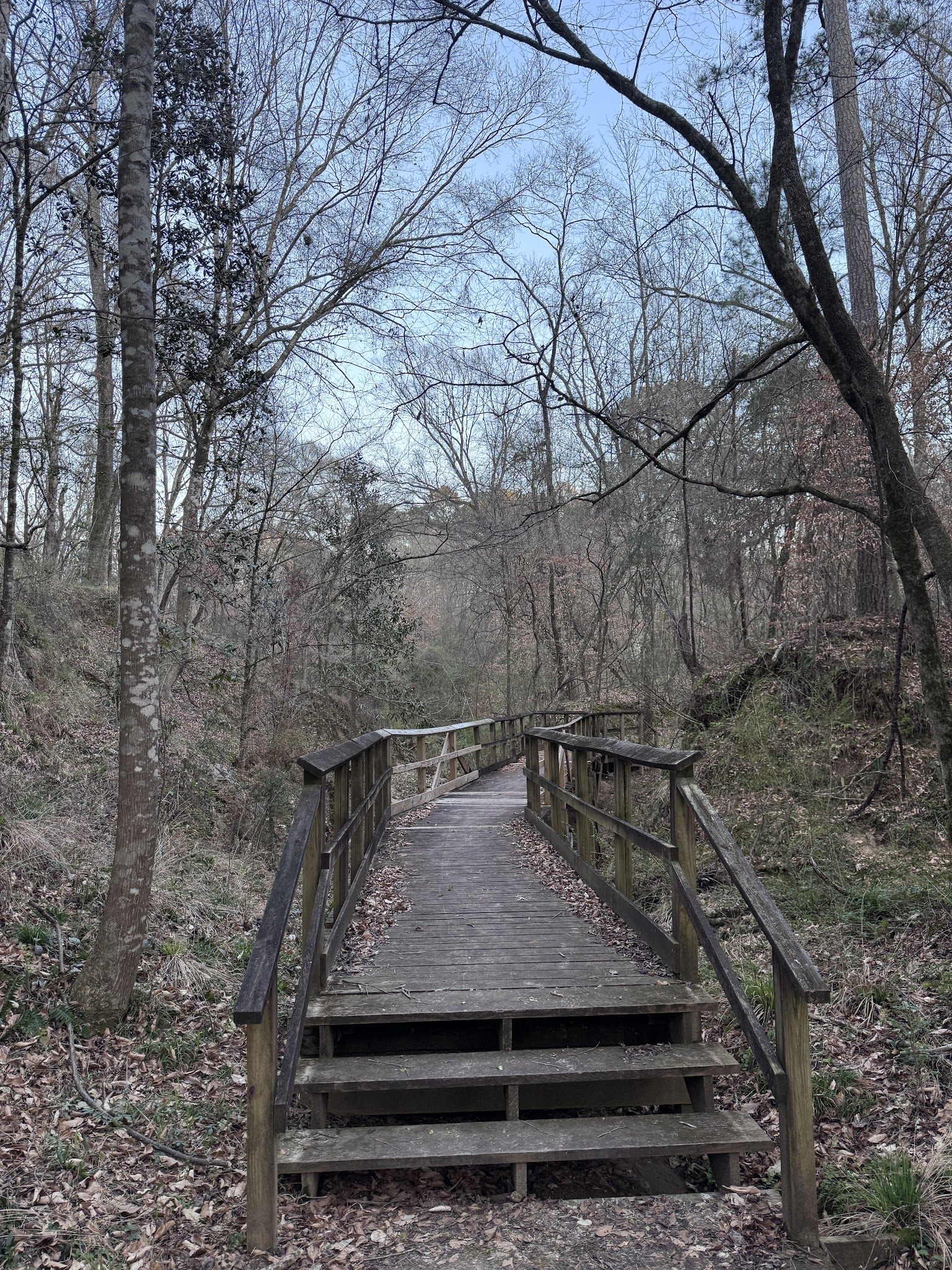 Mary Ann Brown Nature Preserve - St Francisville, LA
