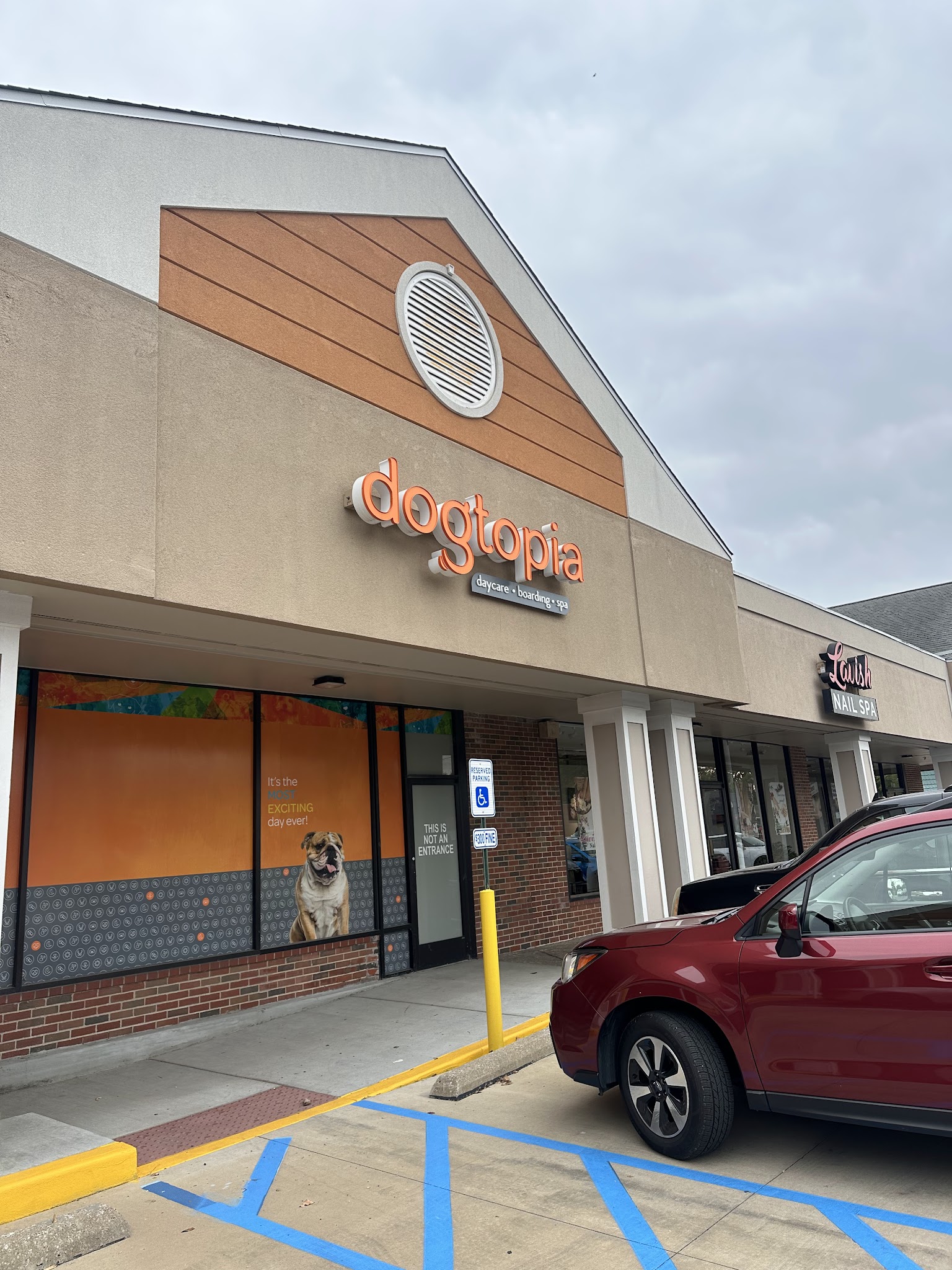 Dogtopia of Rock Hill - St. Louis, MO