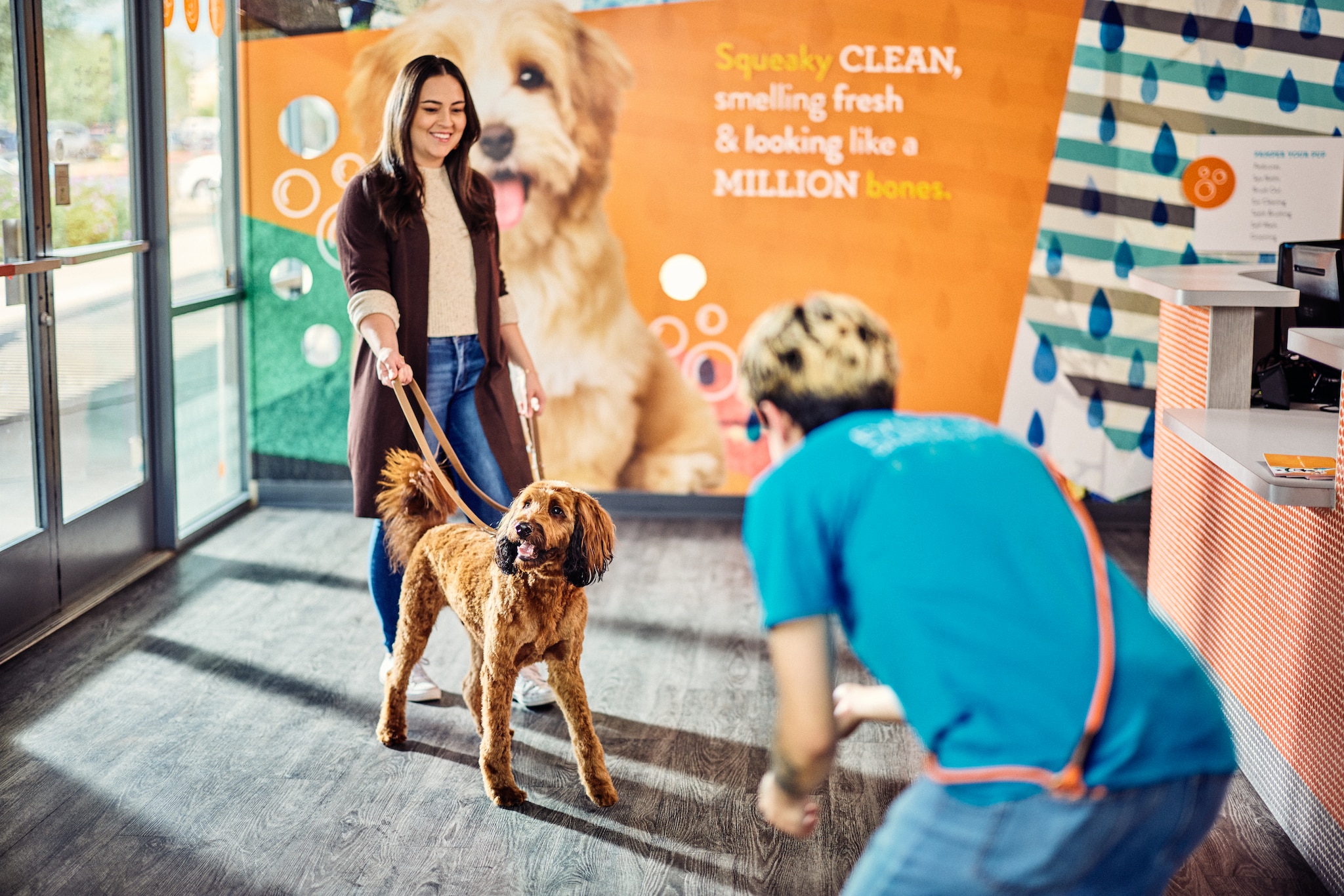 Dogtopia of Rock Hill - St. Louis, MO