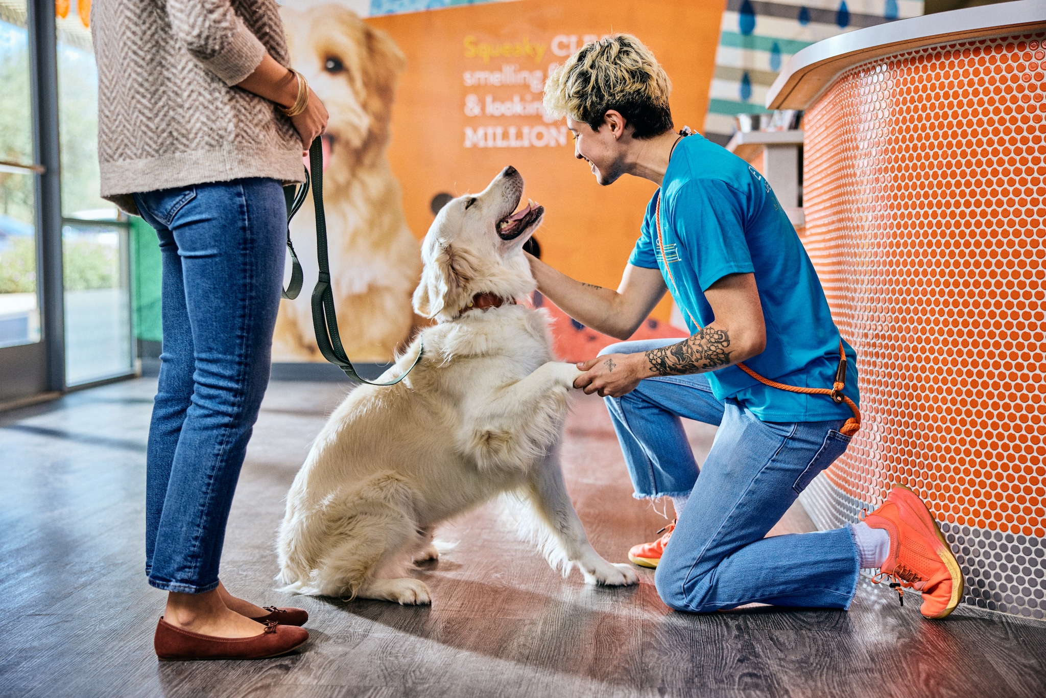 Dogtopia of Rock Hill - St. Louis, MO