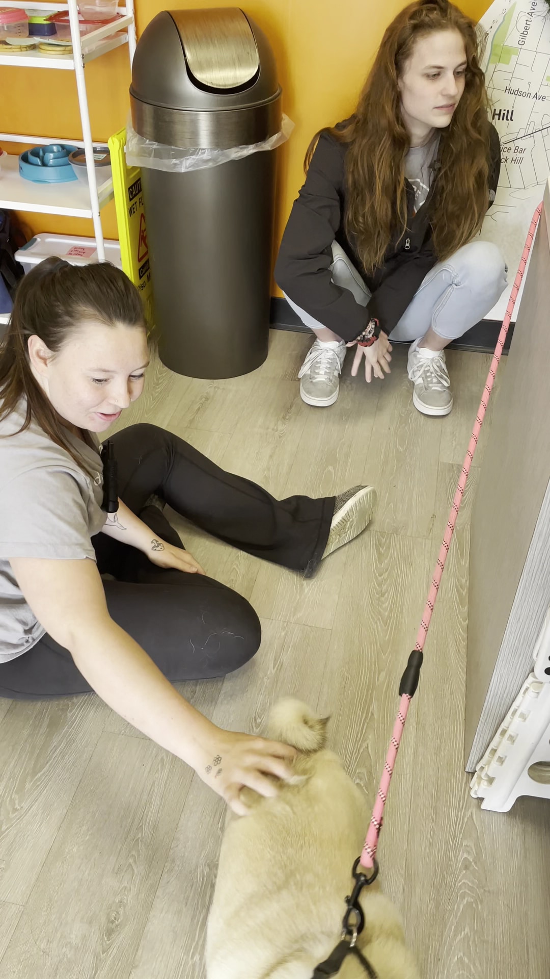 Dogtopia of Rock Hill - St. Louis, MO