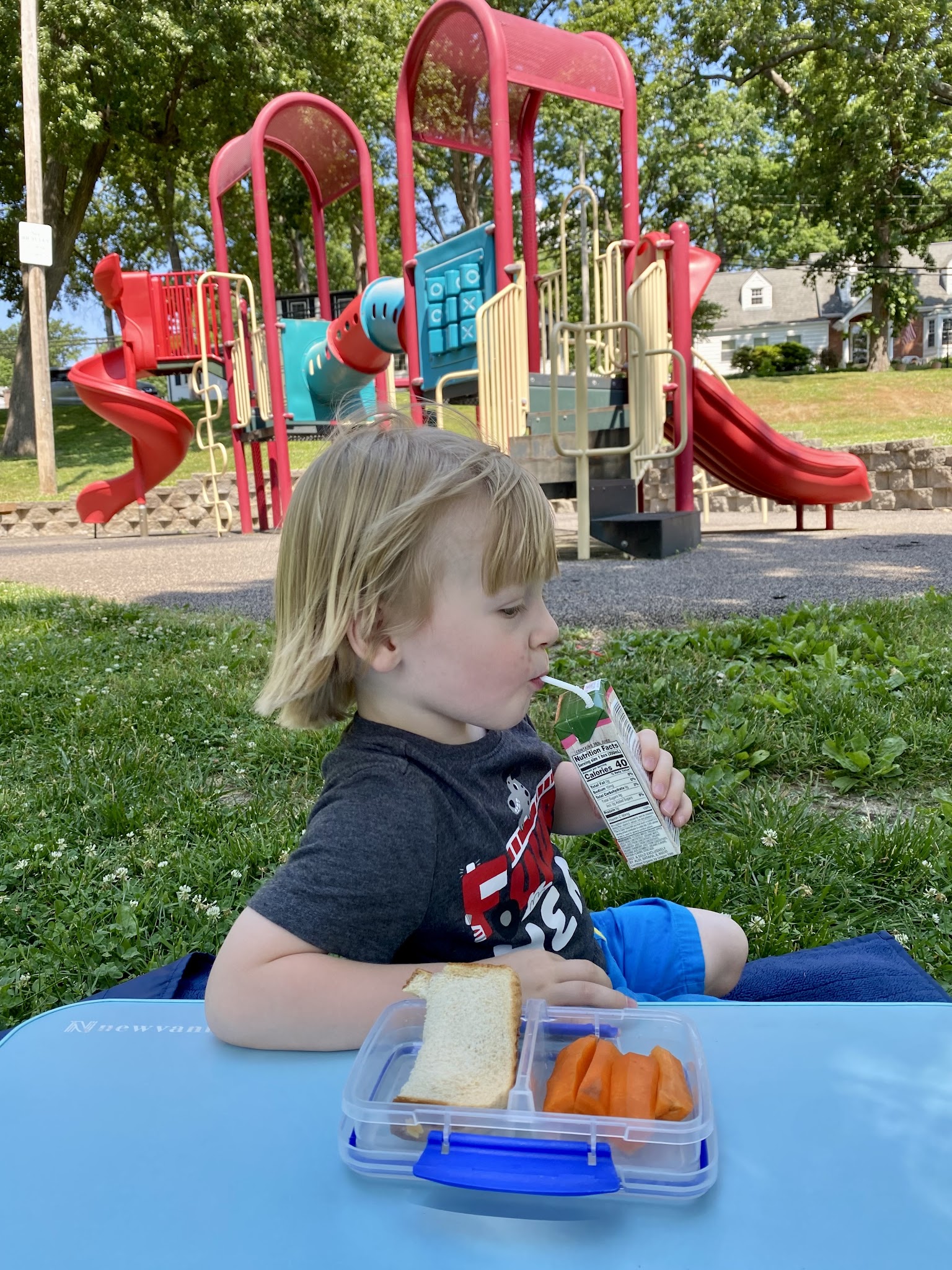 Ferndale Park - St. Louis, MO