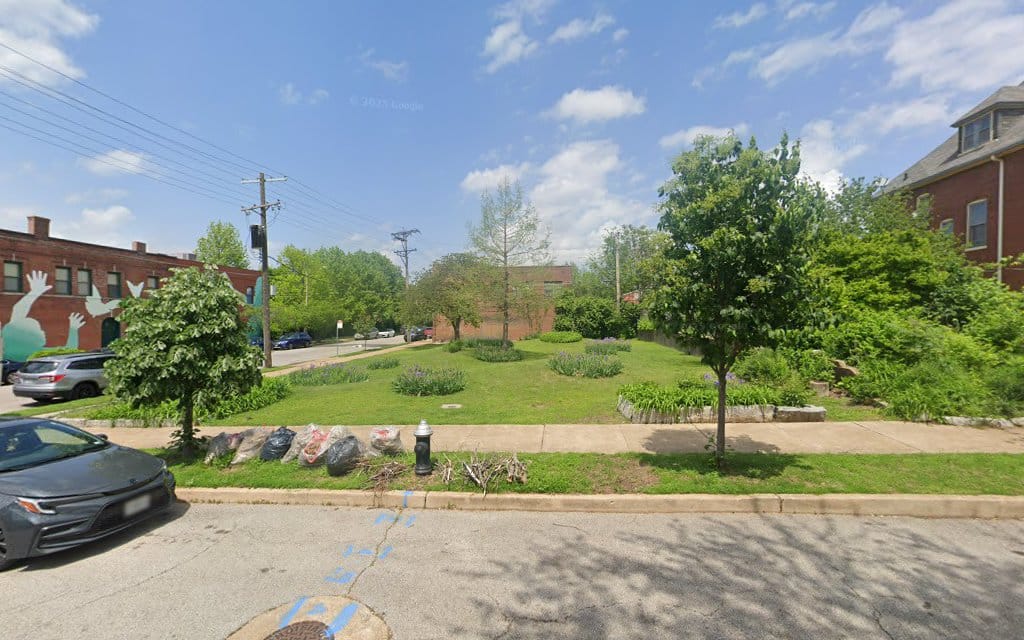 Goose Park - St. Louis, MO