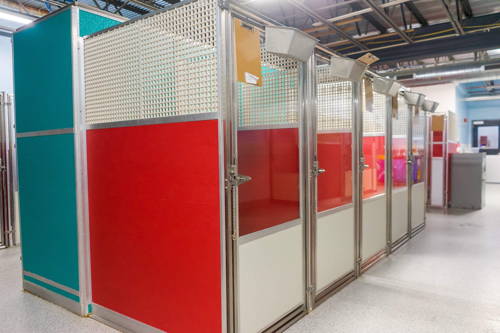 No Leash Needed - St. Louis, MO