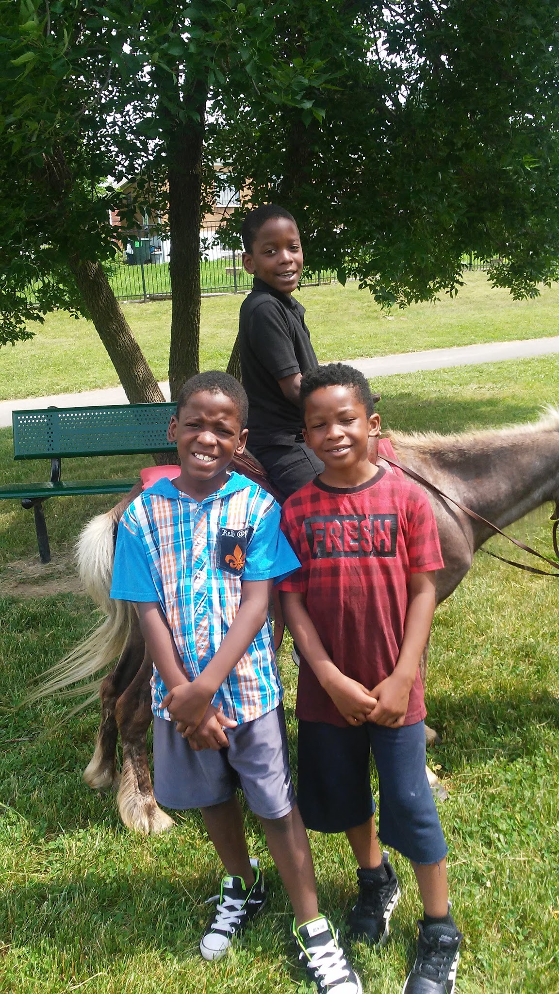 Pelton Jackson Municipal Park - St. Louis, MO