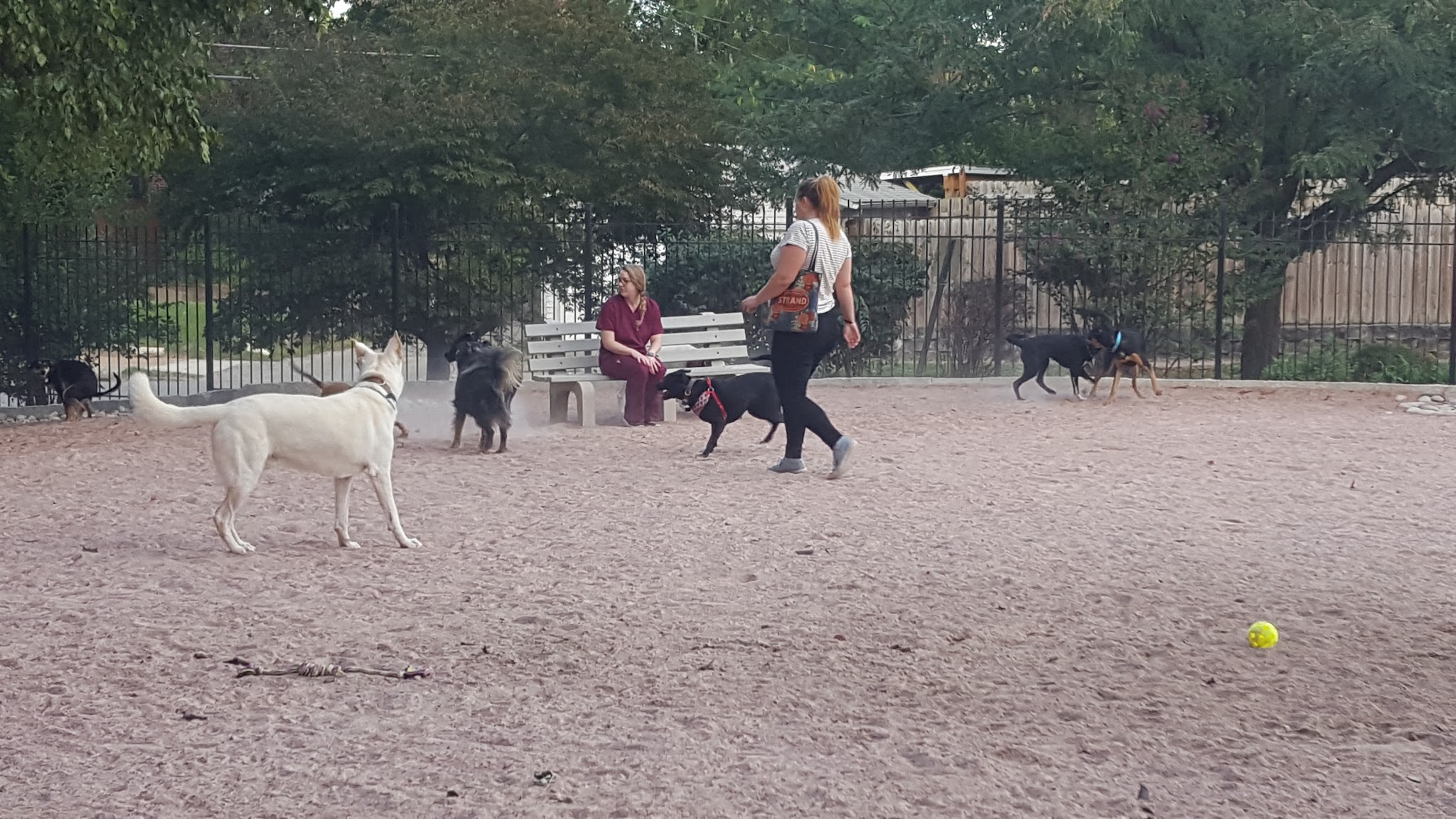 Shaw Dog Park (Membership Only) - St. Louis, MO