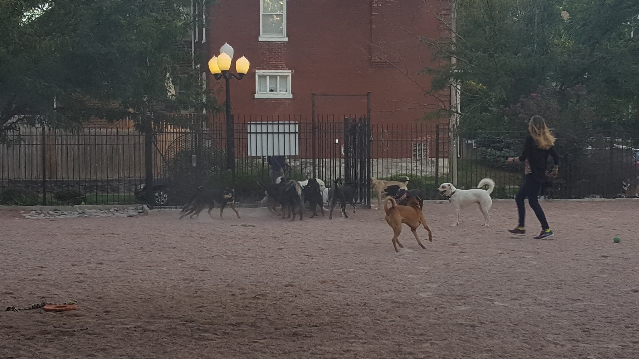 Shaw Dog Park (Membership Only) - St. Louis, MO