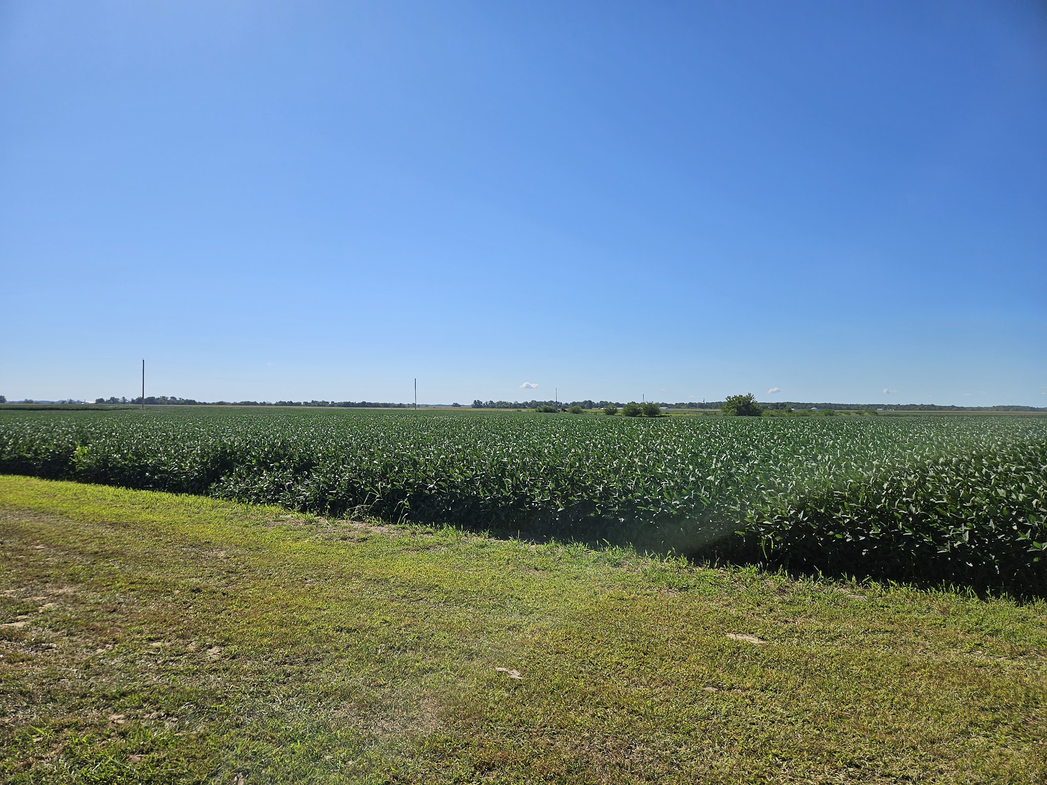 St Peter City Park - St Peter, IL