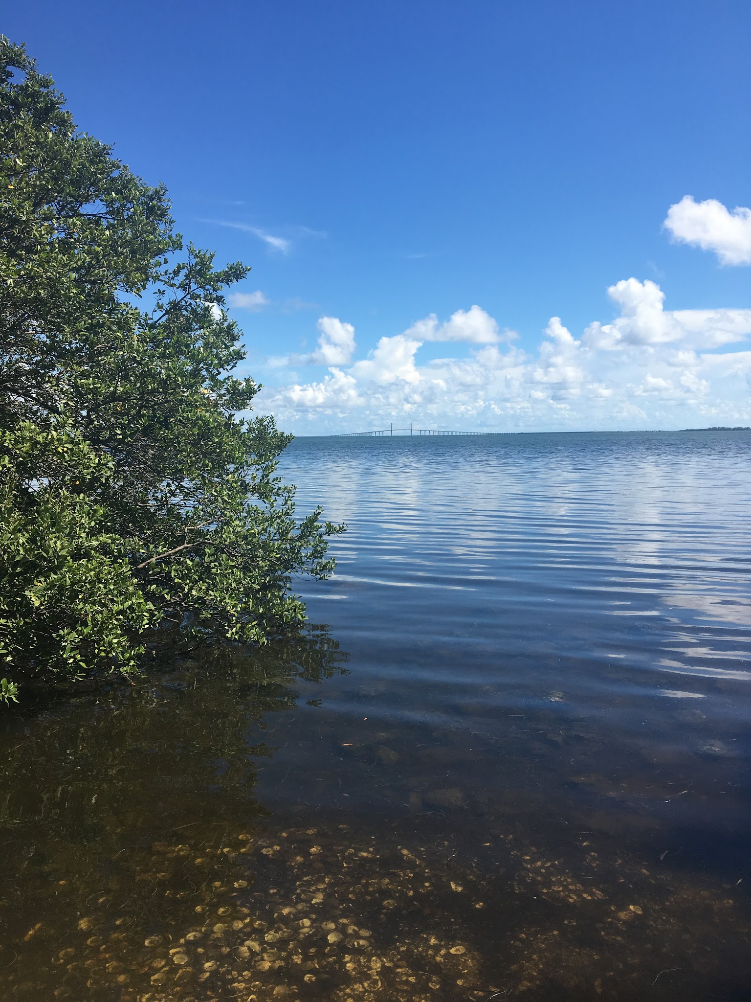 Katherine B. Tippetts Park - St. Petersburg, FL