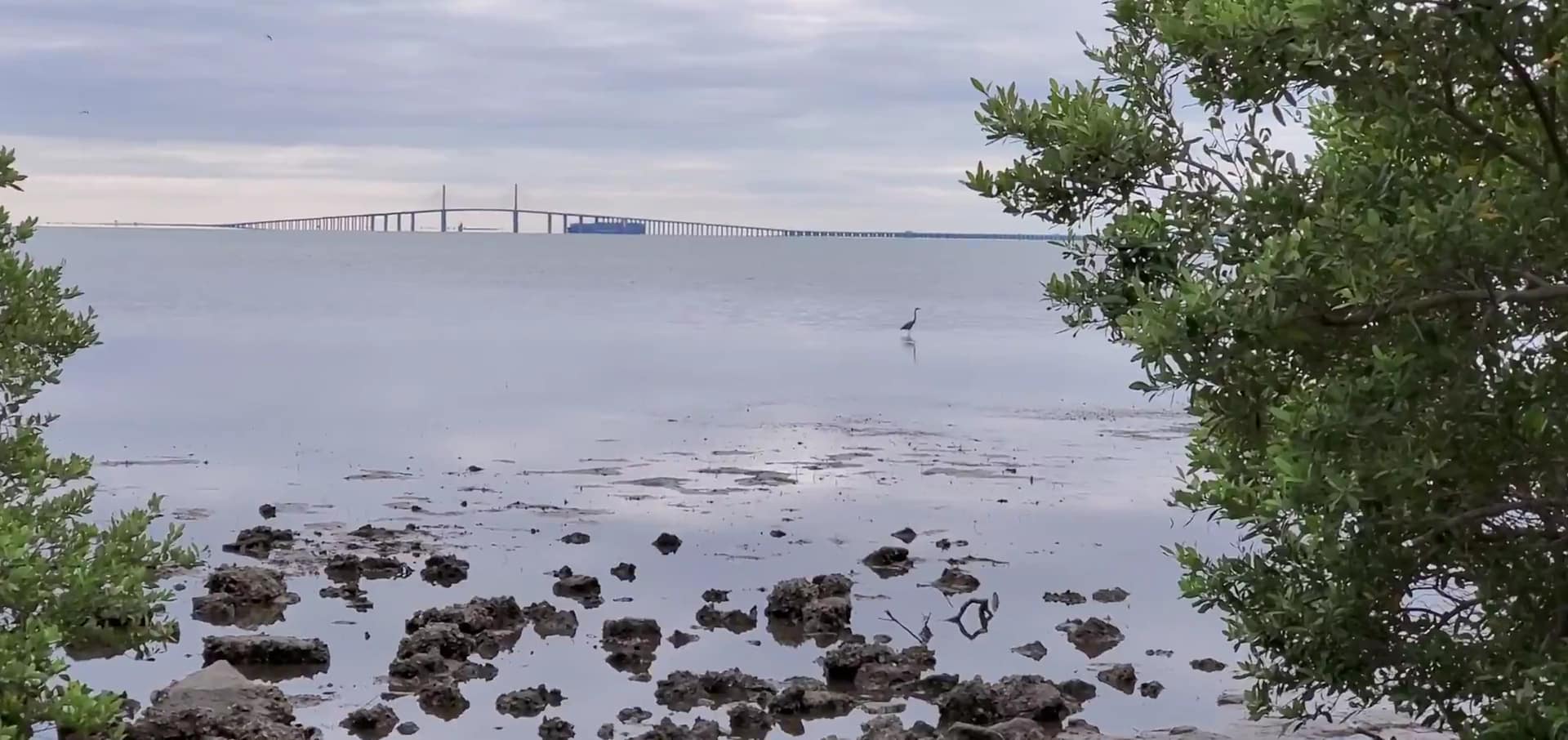 Katherine B. Tippetts Park - St. Petersburg, FL