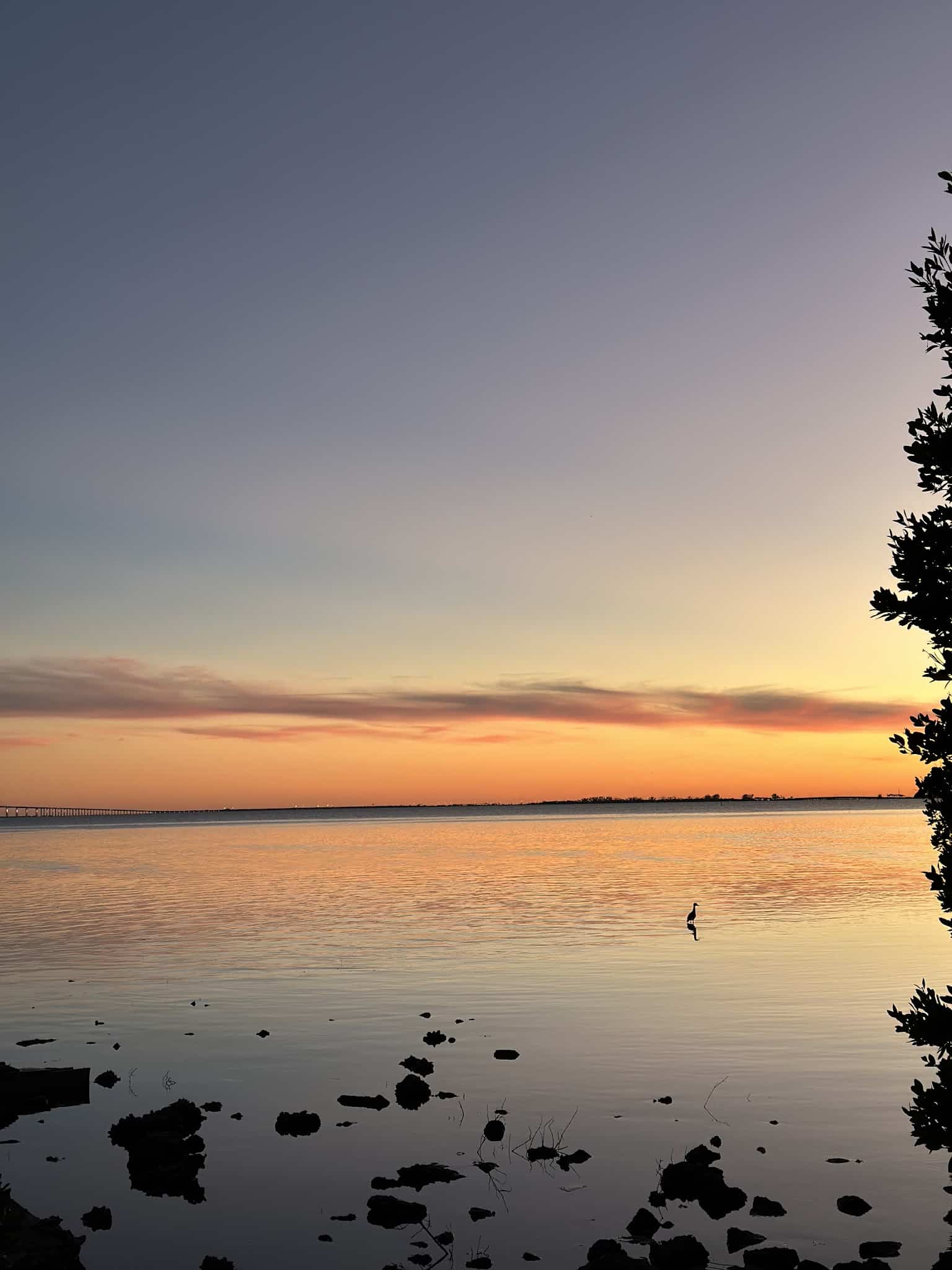 Katherine B. Tippetts Park - St. Petersburg, FL