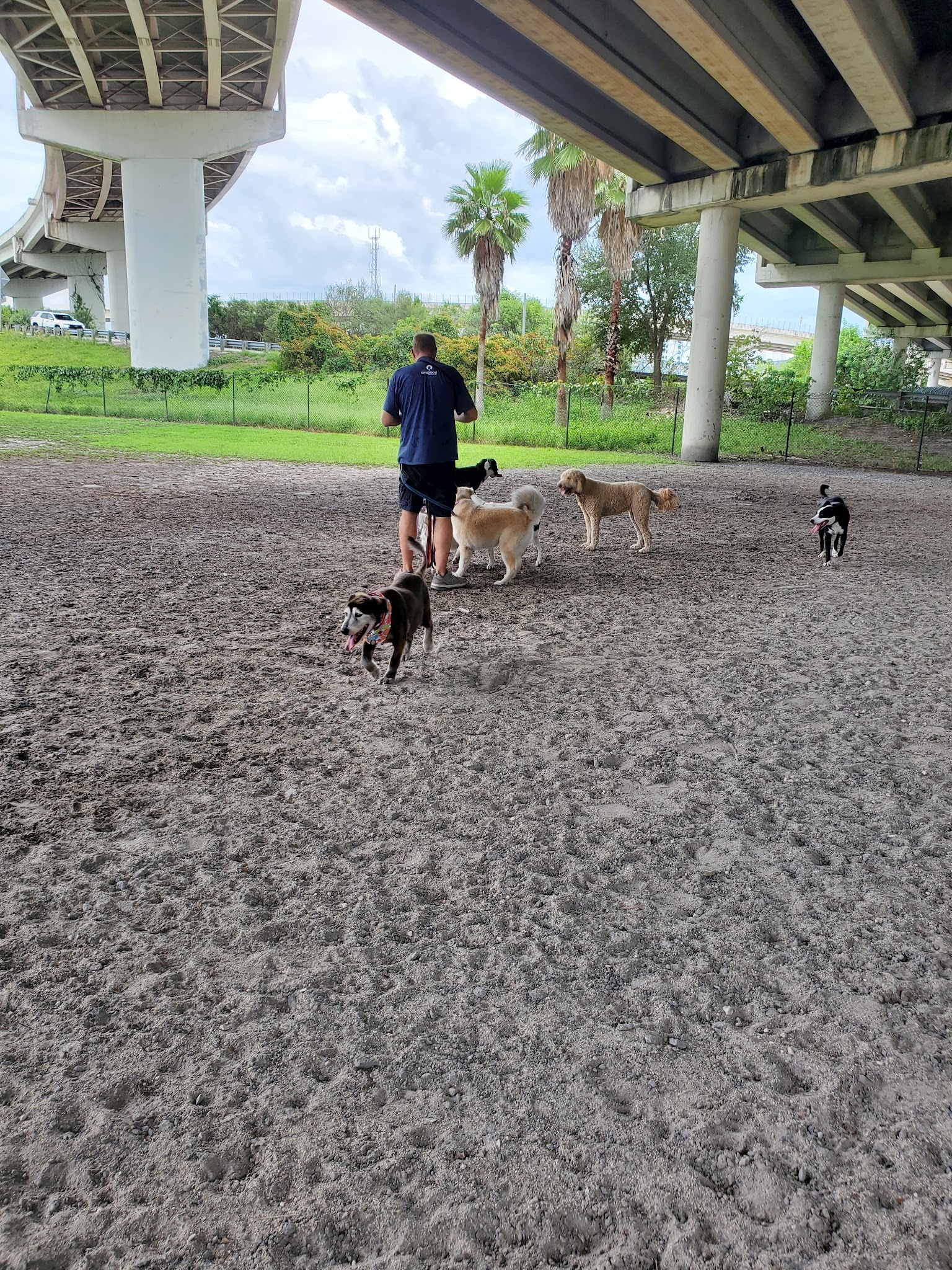 Kenwood Dog Park - St. Petersburg, FL