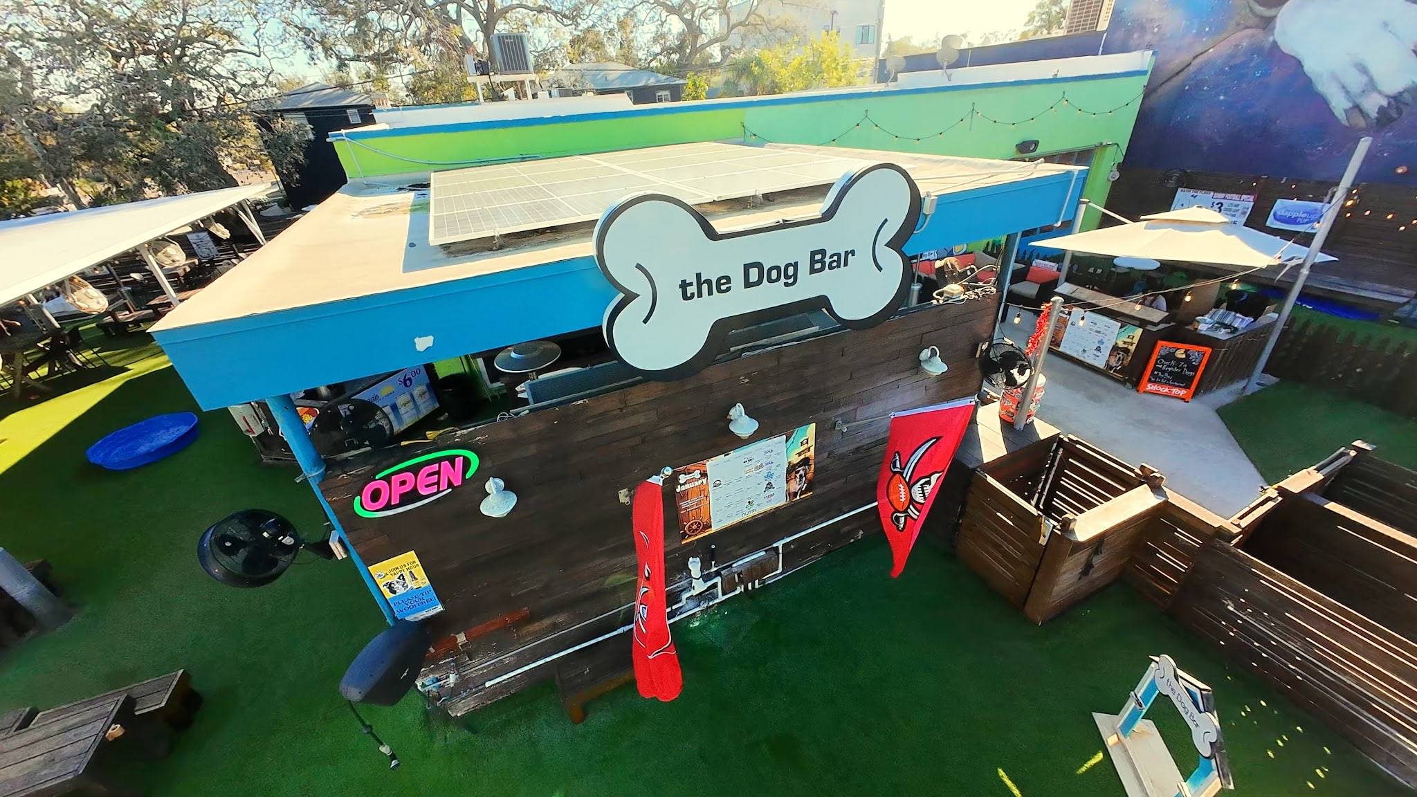 The Dog Bar - St. Petersburg, FL