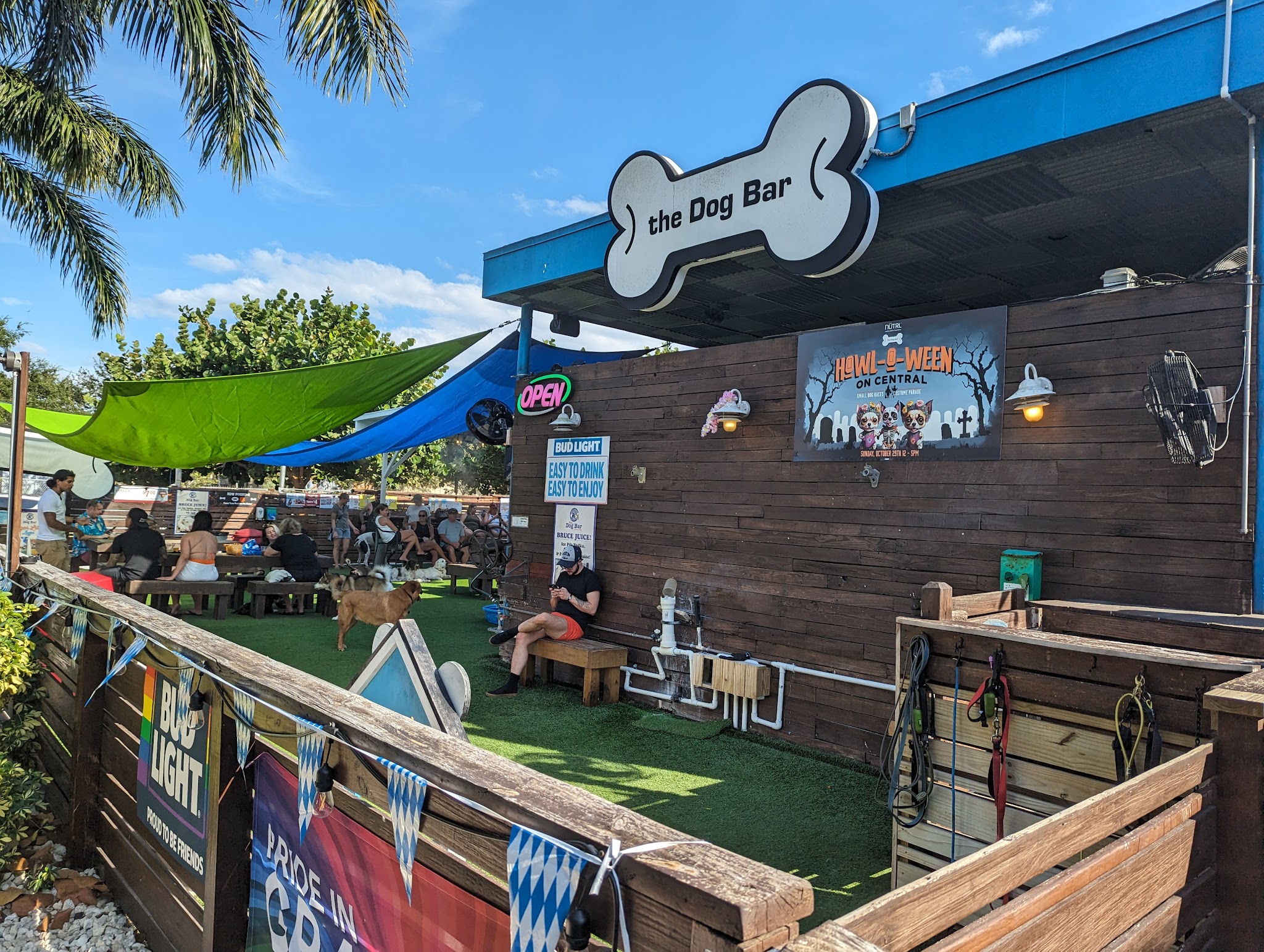 The Dog Bar - St. Petersburg, FL