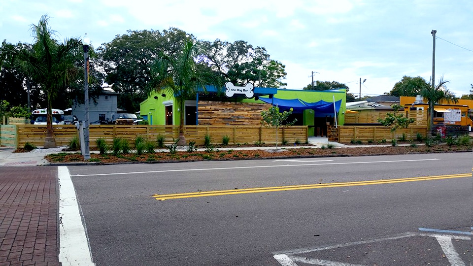 The Dog Bar - St. Petersburg, FL