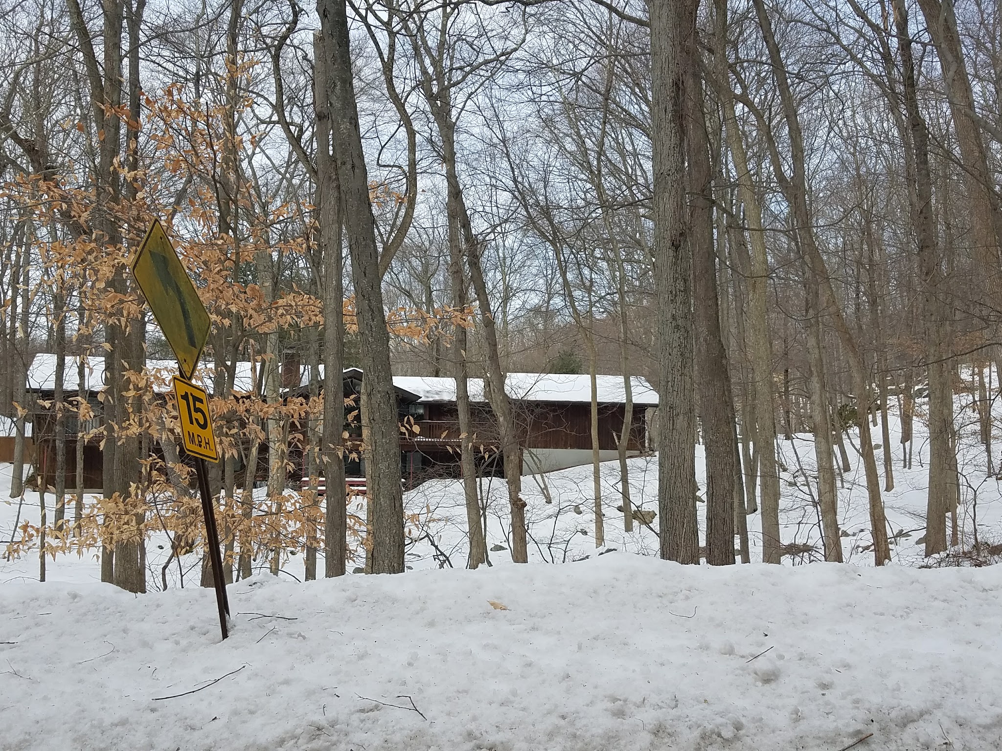 Mianus River State Park Scenic Reserve - Stamford, CT