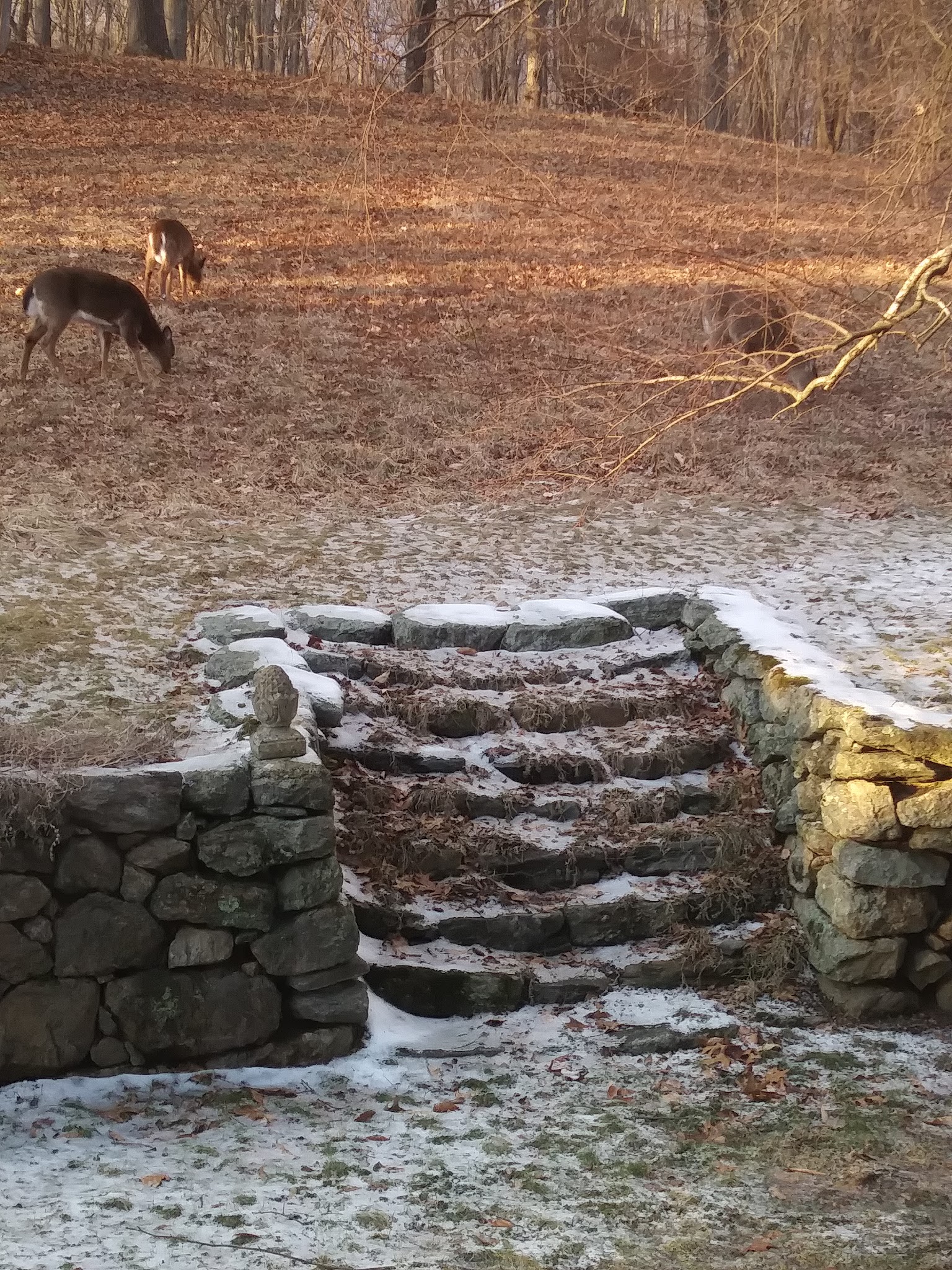 Mianus River State Park Scenic Reserve - Stamford, CT