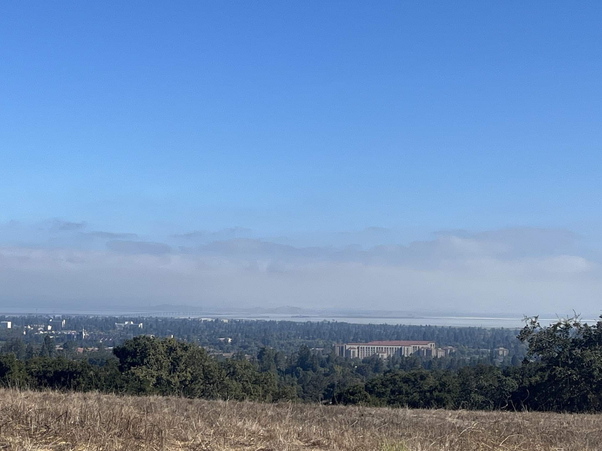 Stanford Dish Hiking Trail - Stanford, CA