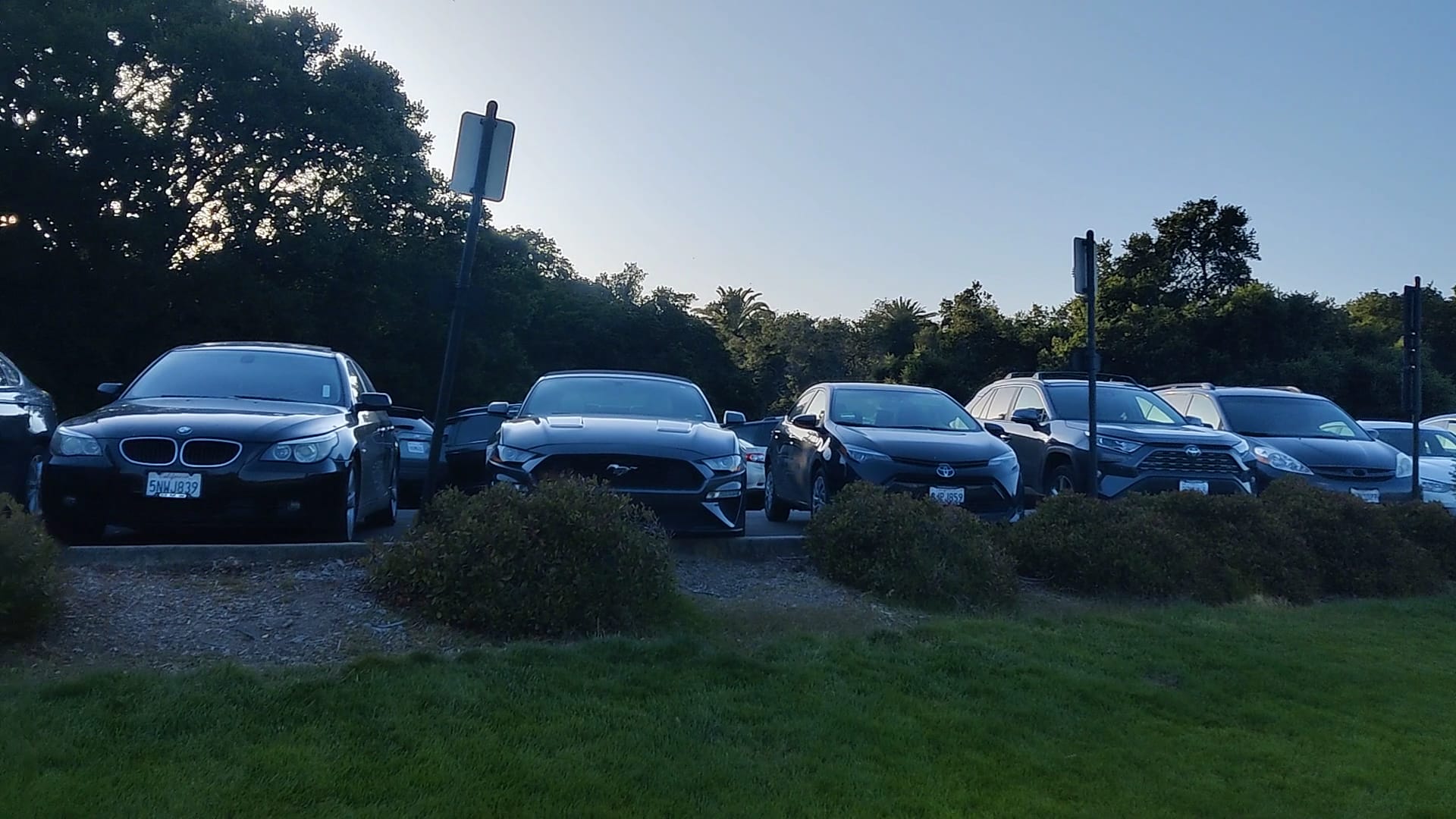 Stanford Oval - Stanford, CA