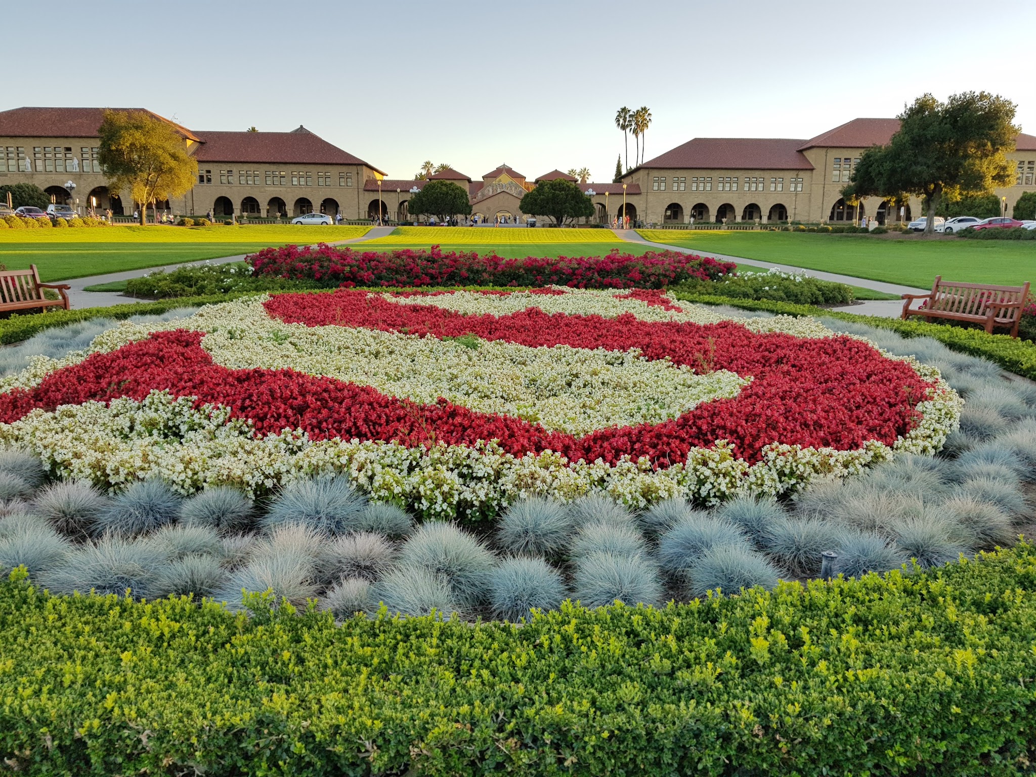 Stanford Oval - Stanford, CA