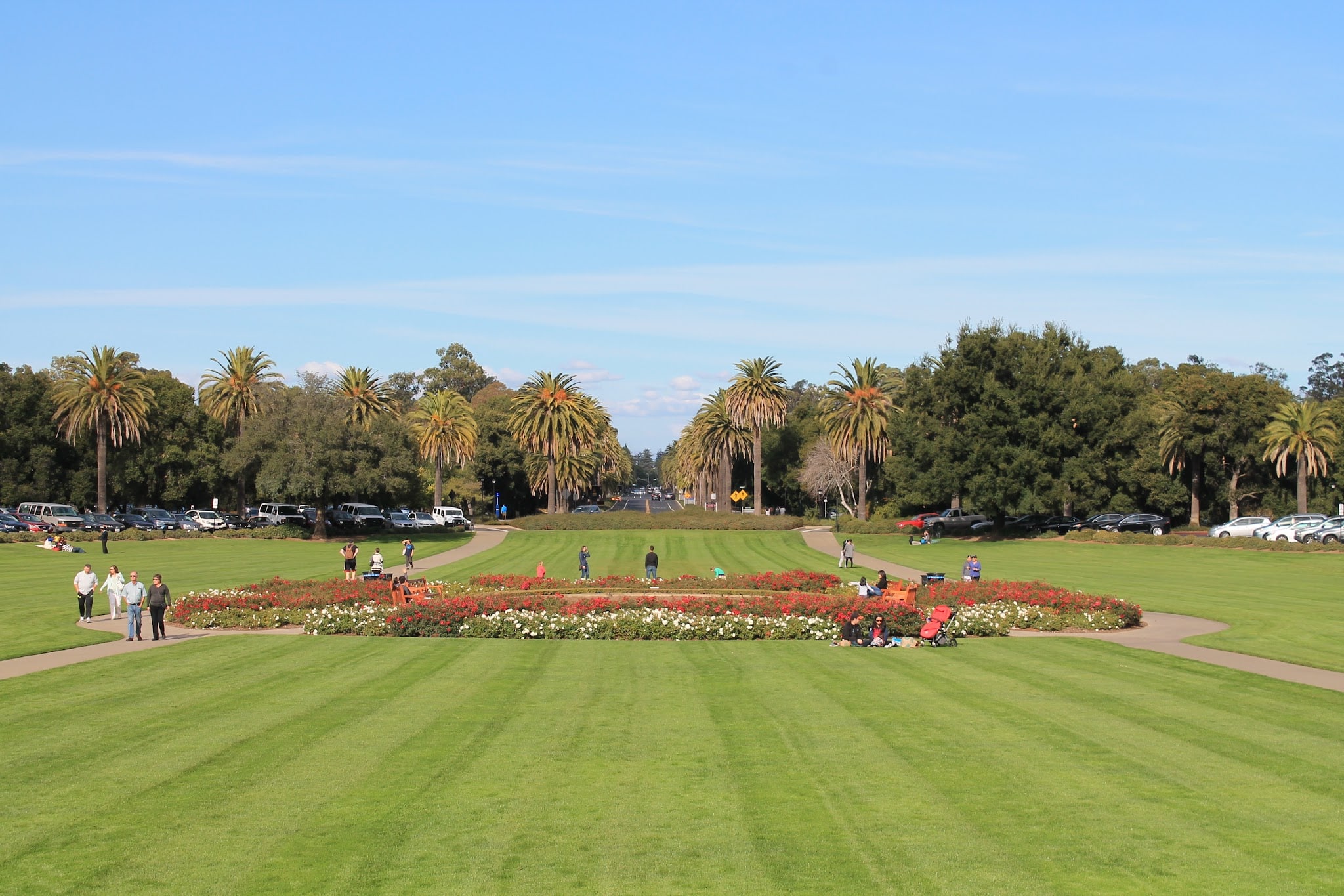 Stanford Oval - Stanford, CA