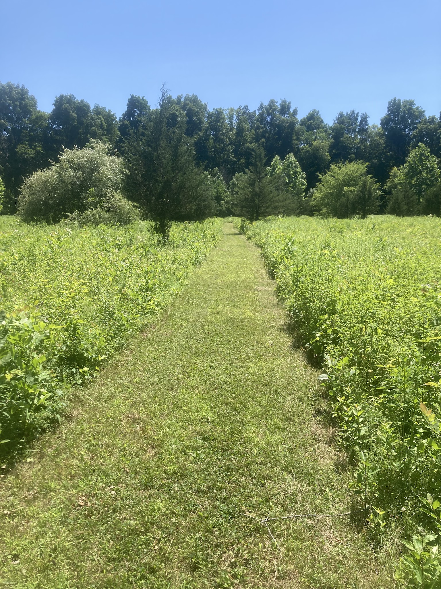 Stanford Wildlife Preserve - Stanfordville, NY