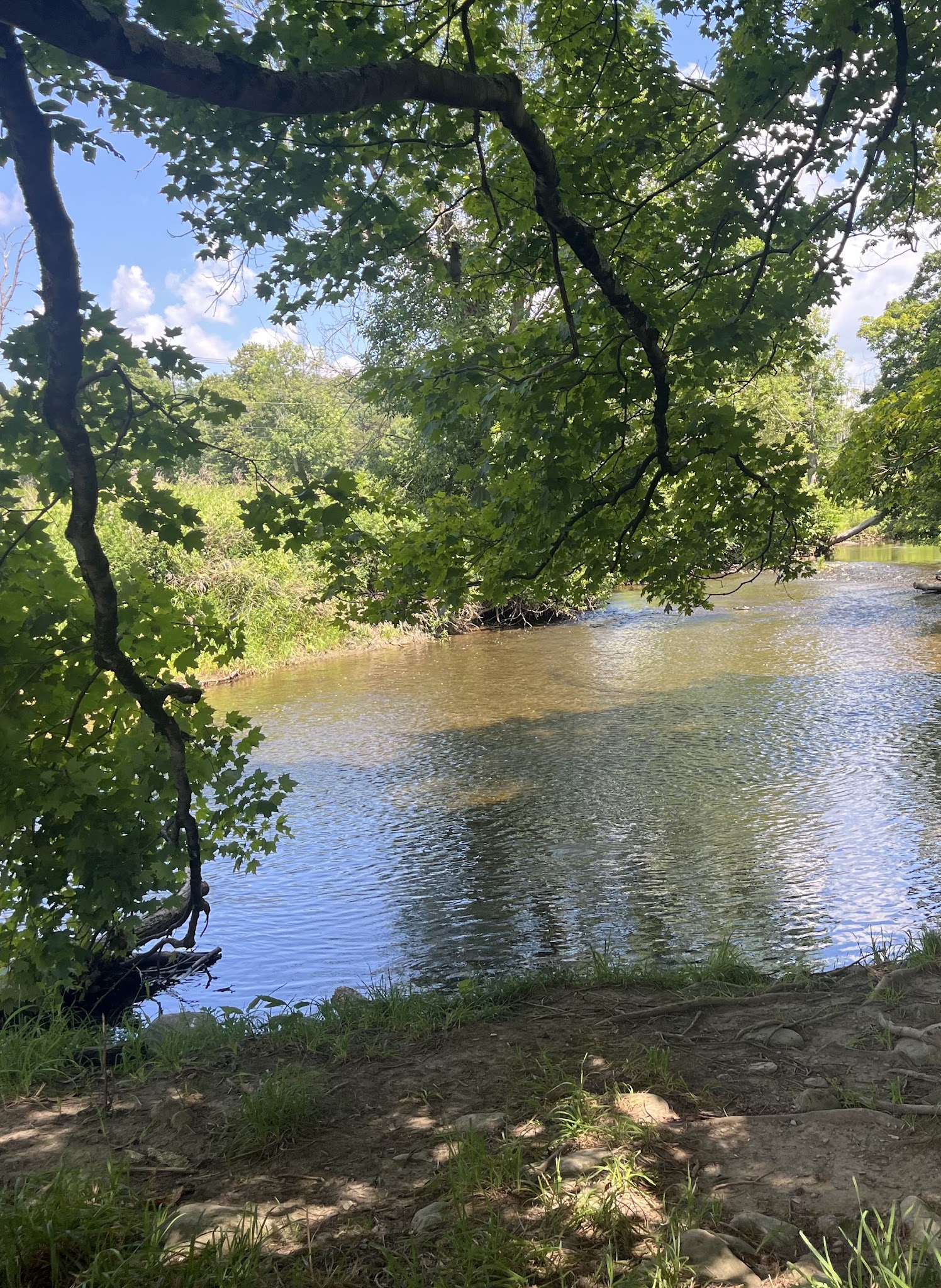 Stanford Wildlife Preserve - Stanfordville, NY