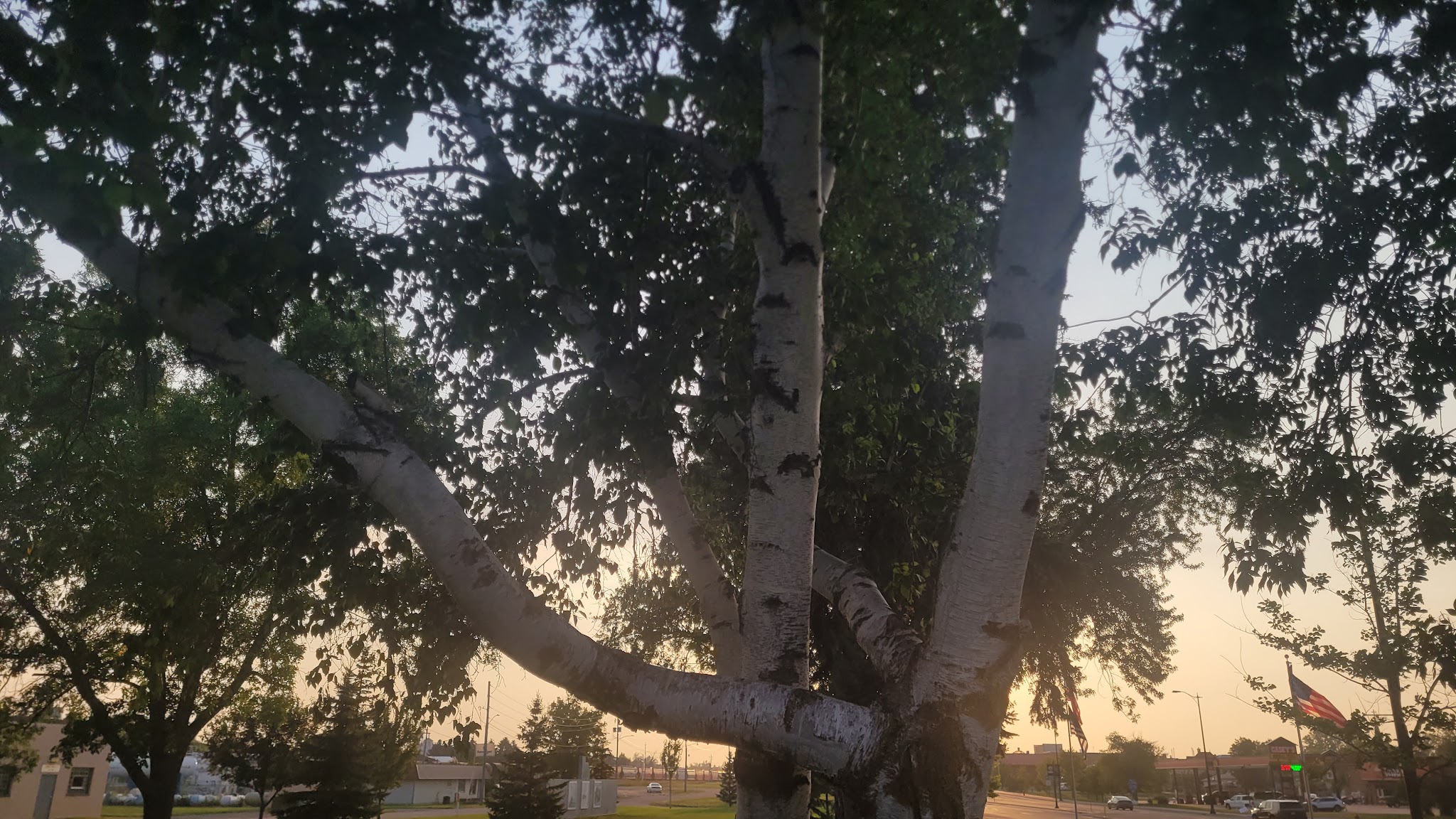 Veteran's Park - Staples, MN